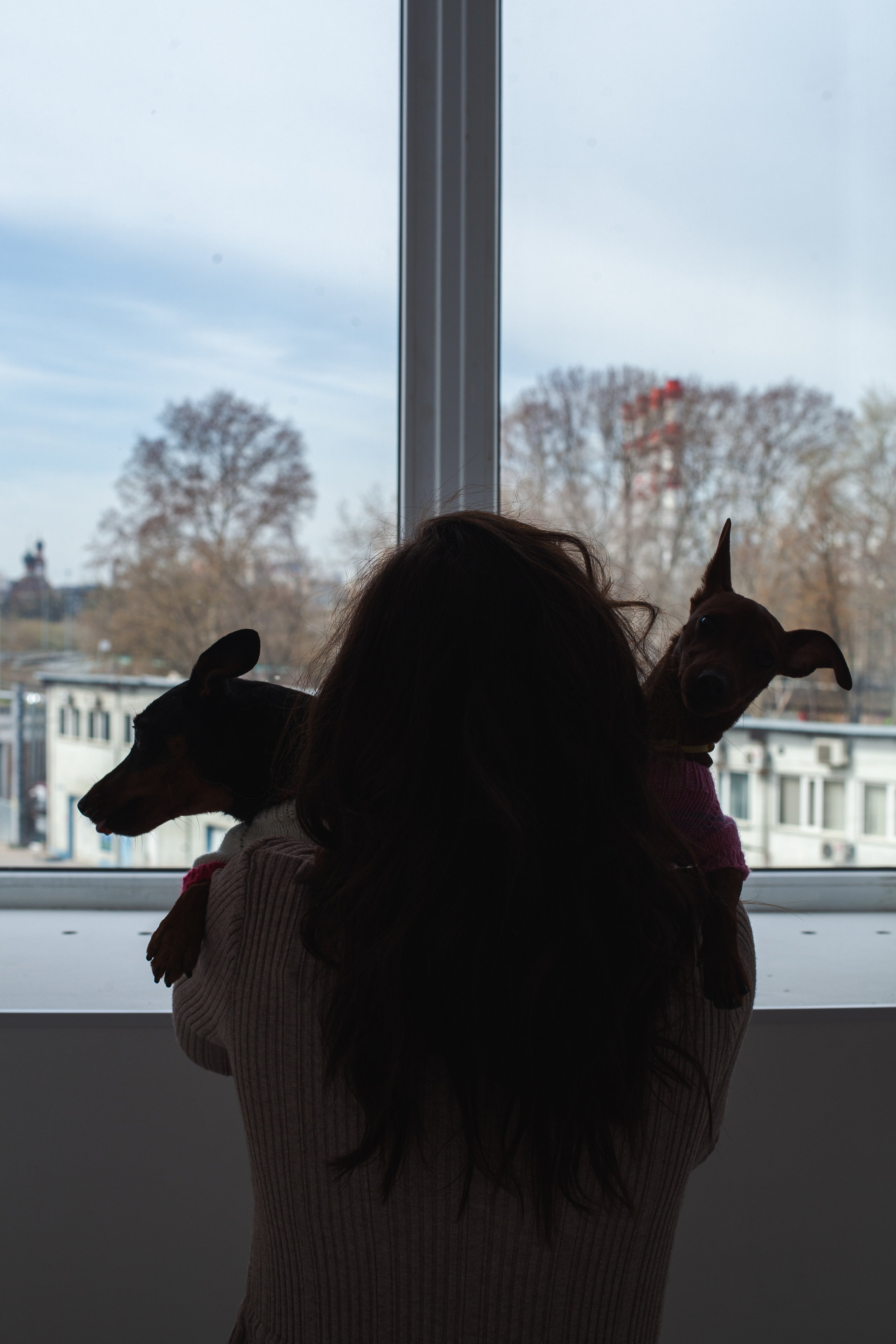 Александра и пинчеры Майя и Джой. Фотограф-анималист Татьяна Степанова