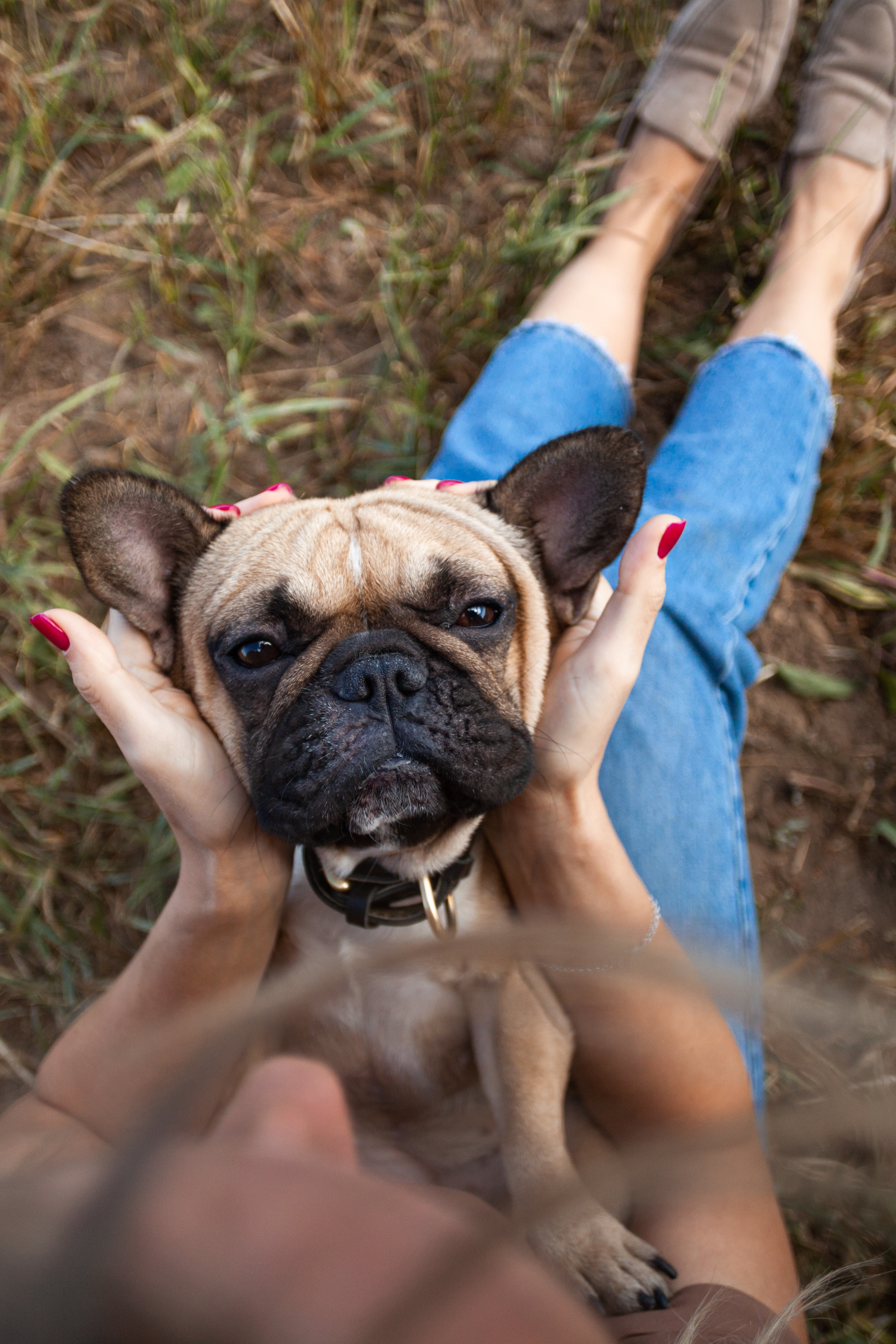 Коломна, стога и подсолнухи. Фотограф-анималист Татьяна Степанова