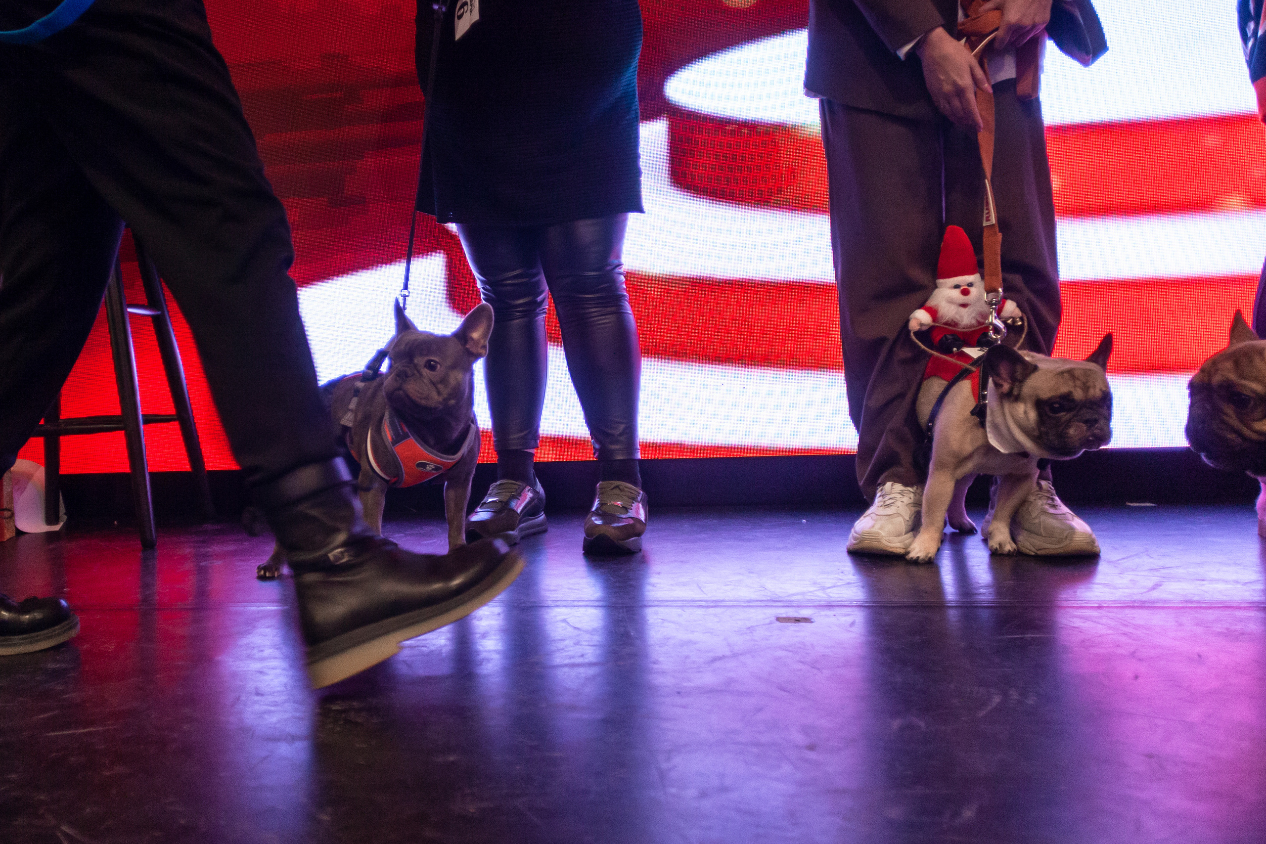 Бульелка 2022. Фотограф-анималист Татьяна Степанова