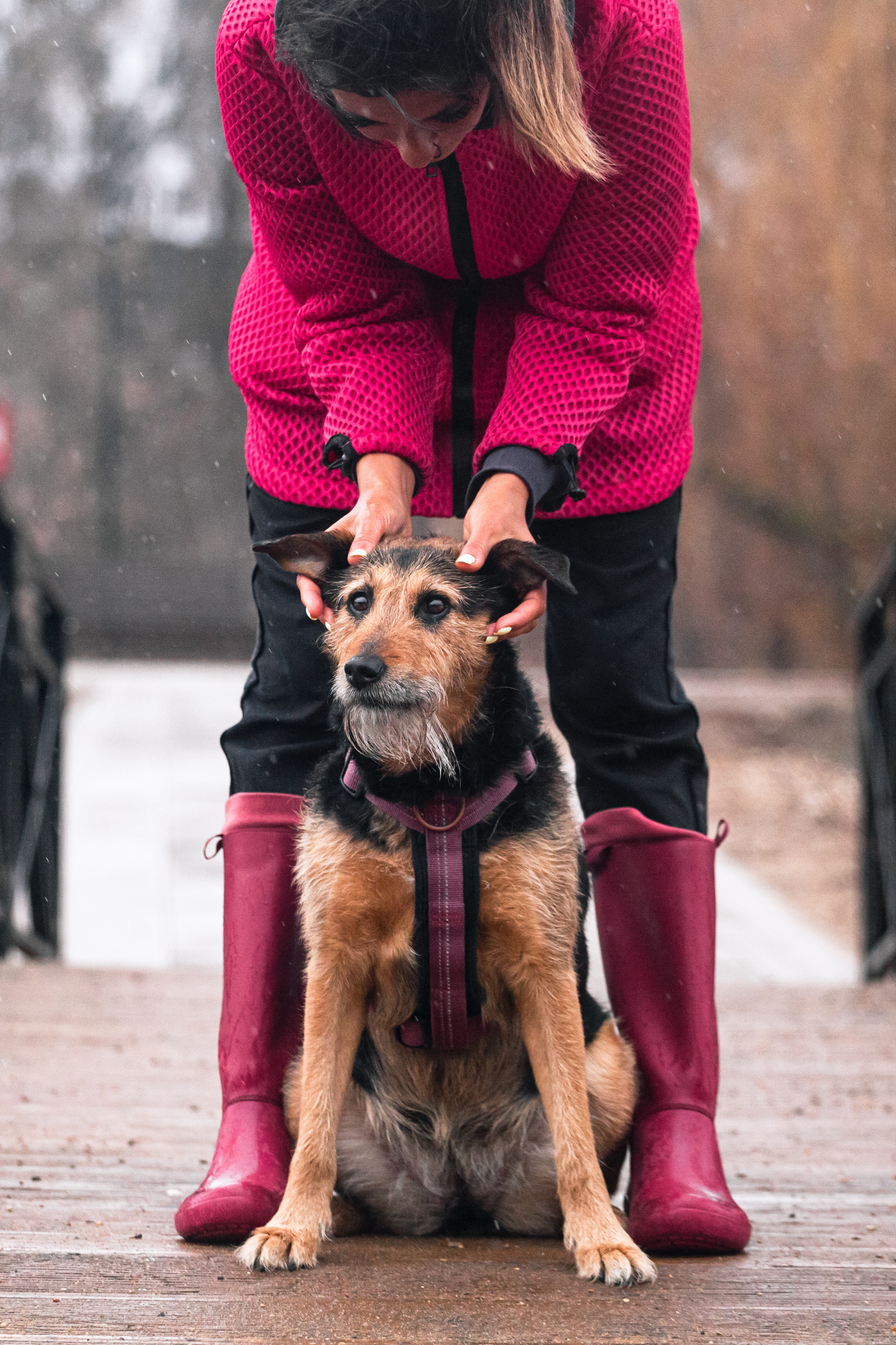 Лиза и Бренда. Фотограф-анималист Татьяна Степанова
