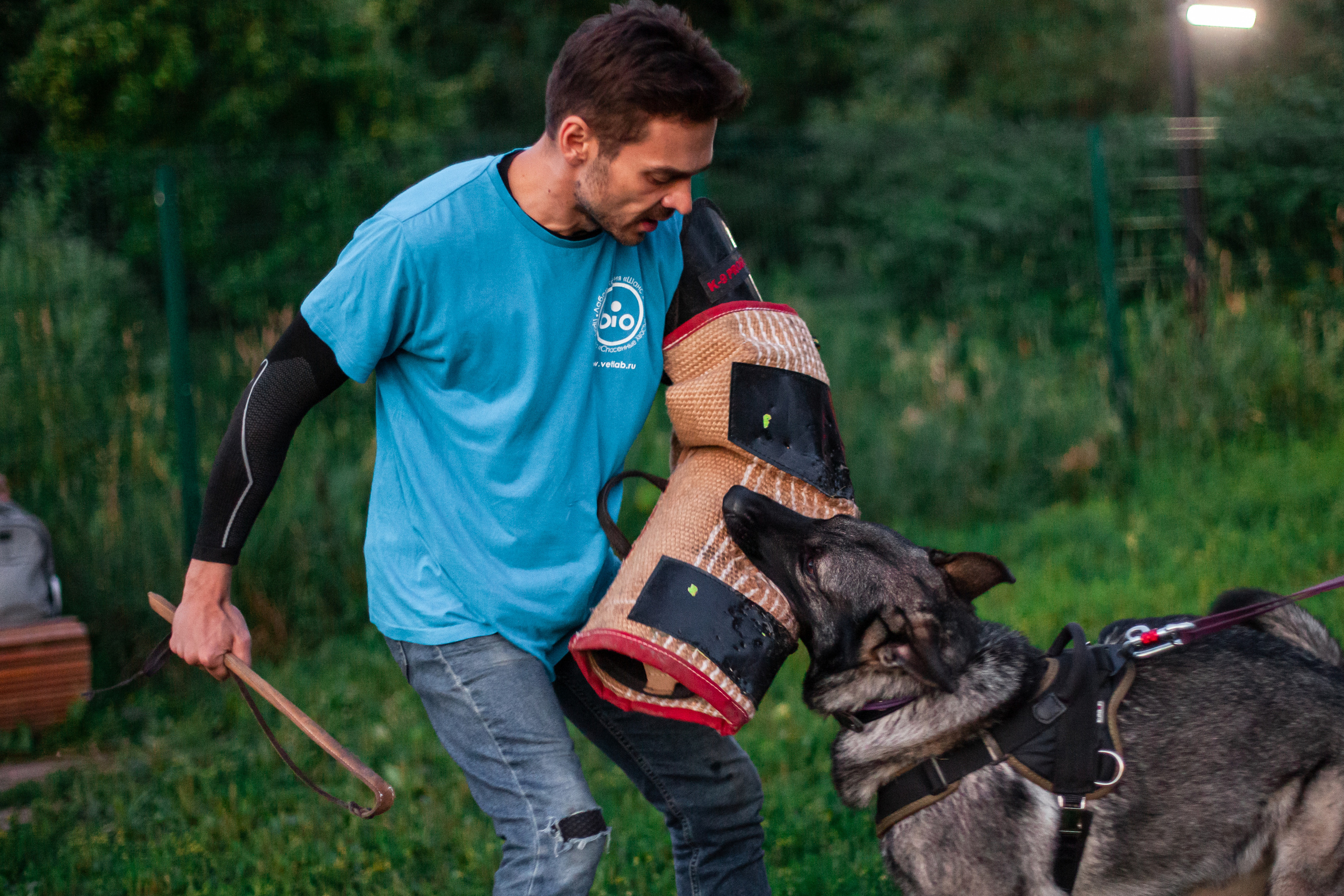 Занятие ЗКС+Выборка 2022. Фотограф-анималист Татьяна Степанова