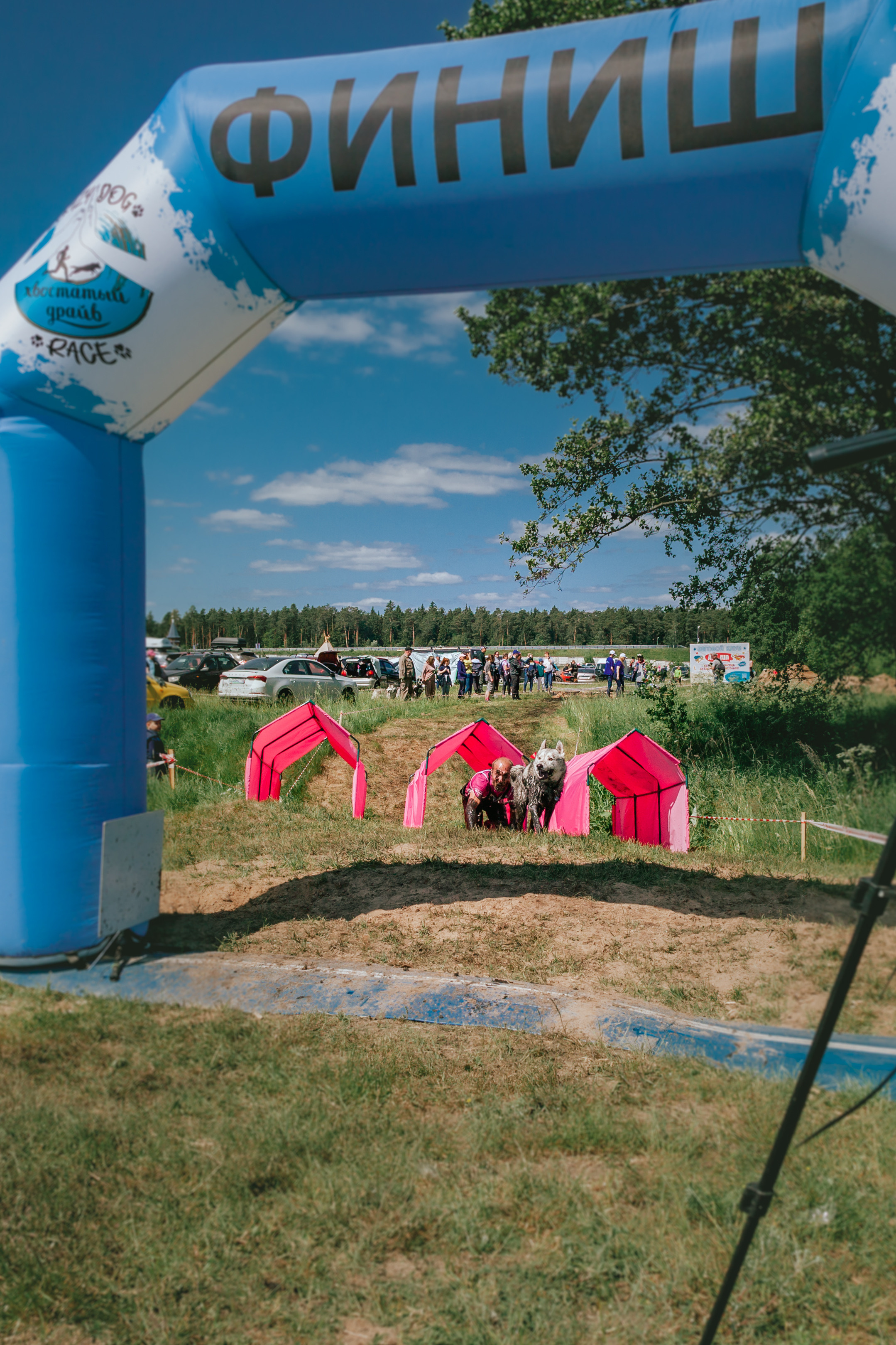 Хвостатый Драйв 11.06.2023. Фотограф-анималист Татьяна Степанова