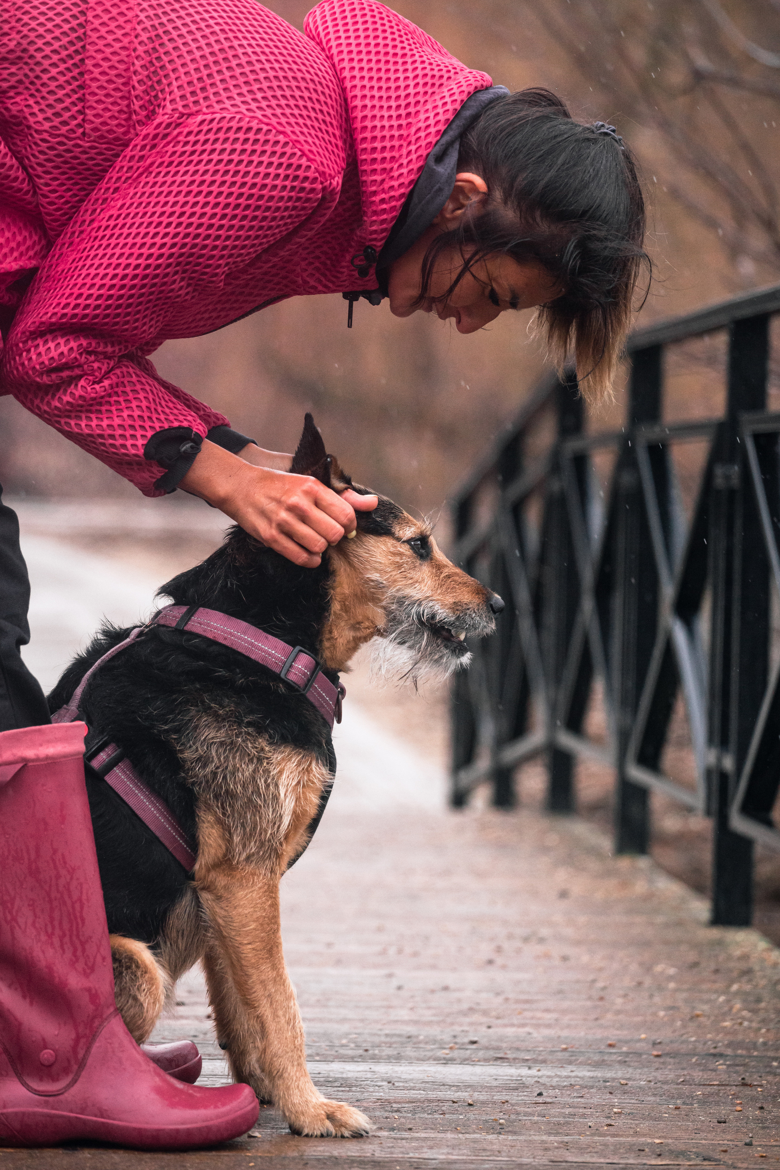 Лиза и Бренда. Фотограф-анималист Татьяна Степанова
