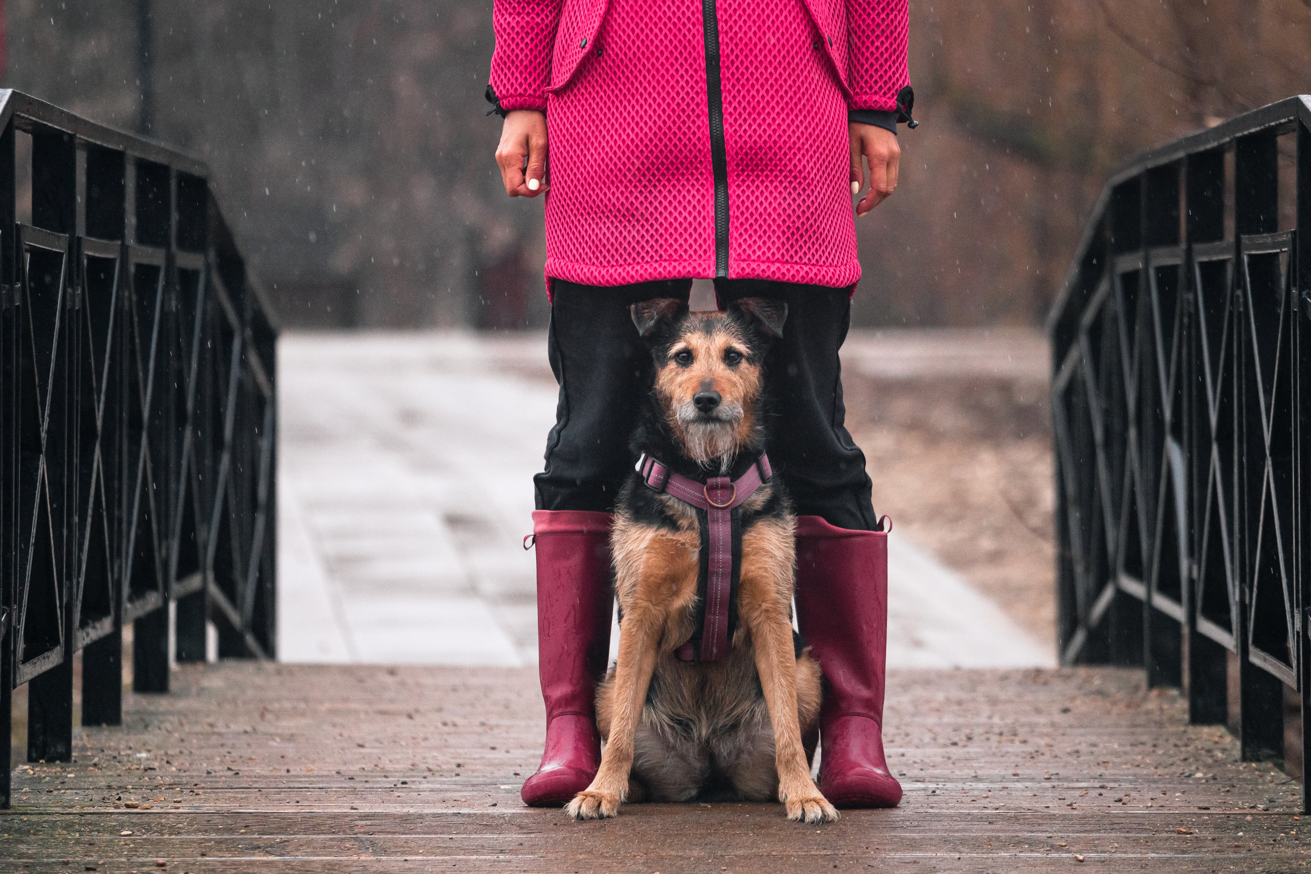 Лиза и Бренда. Фотограф-анималист Татьяна Степанова