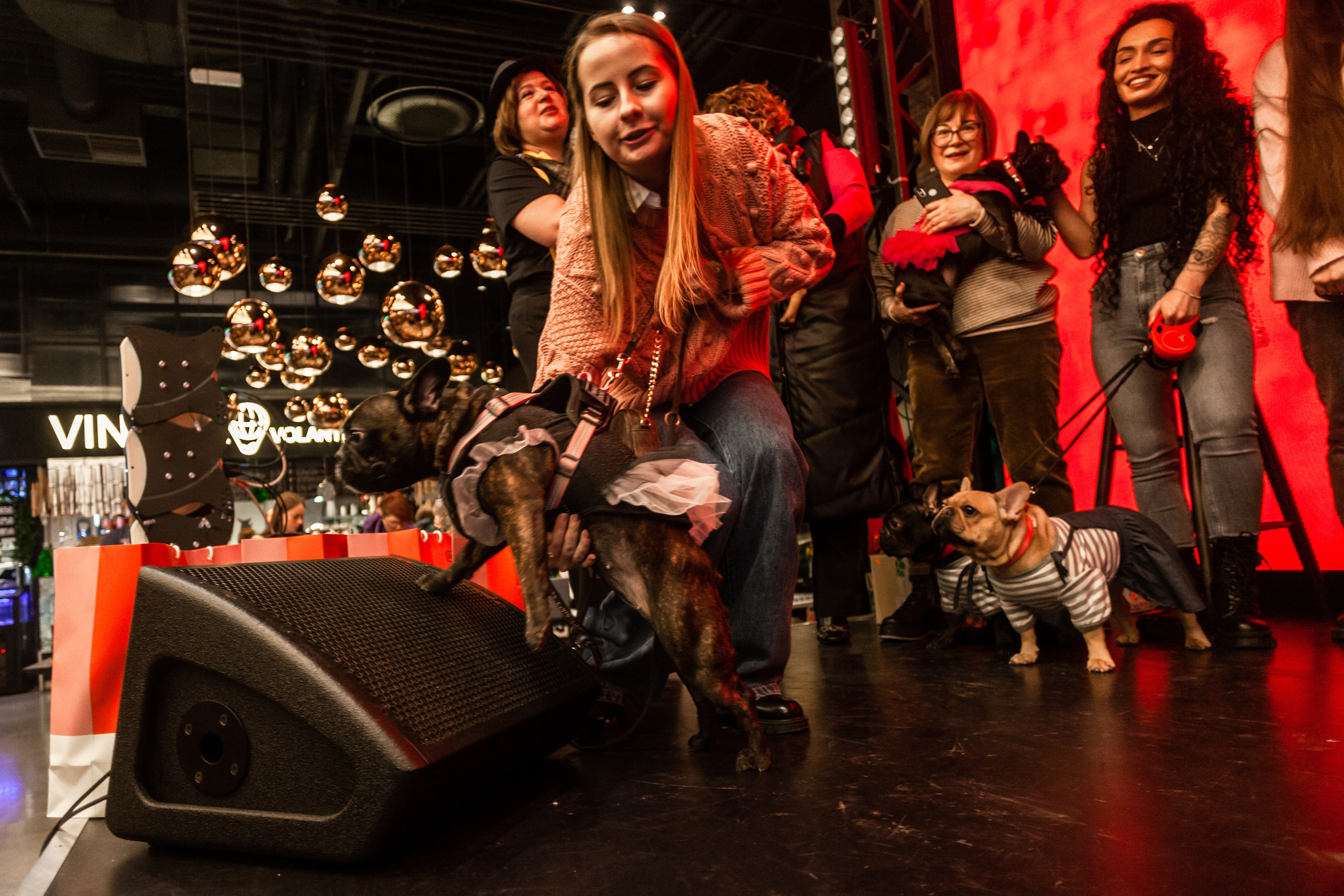 Бульелка 2022. Фотограф-анималист Татьяна Степанова