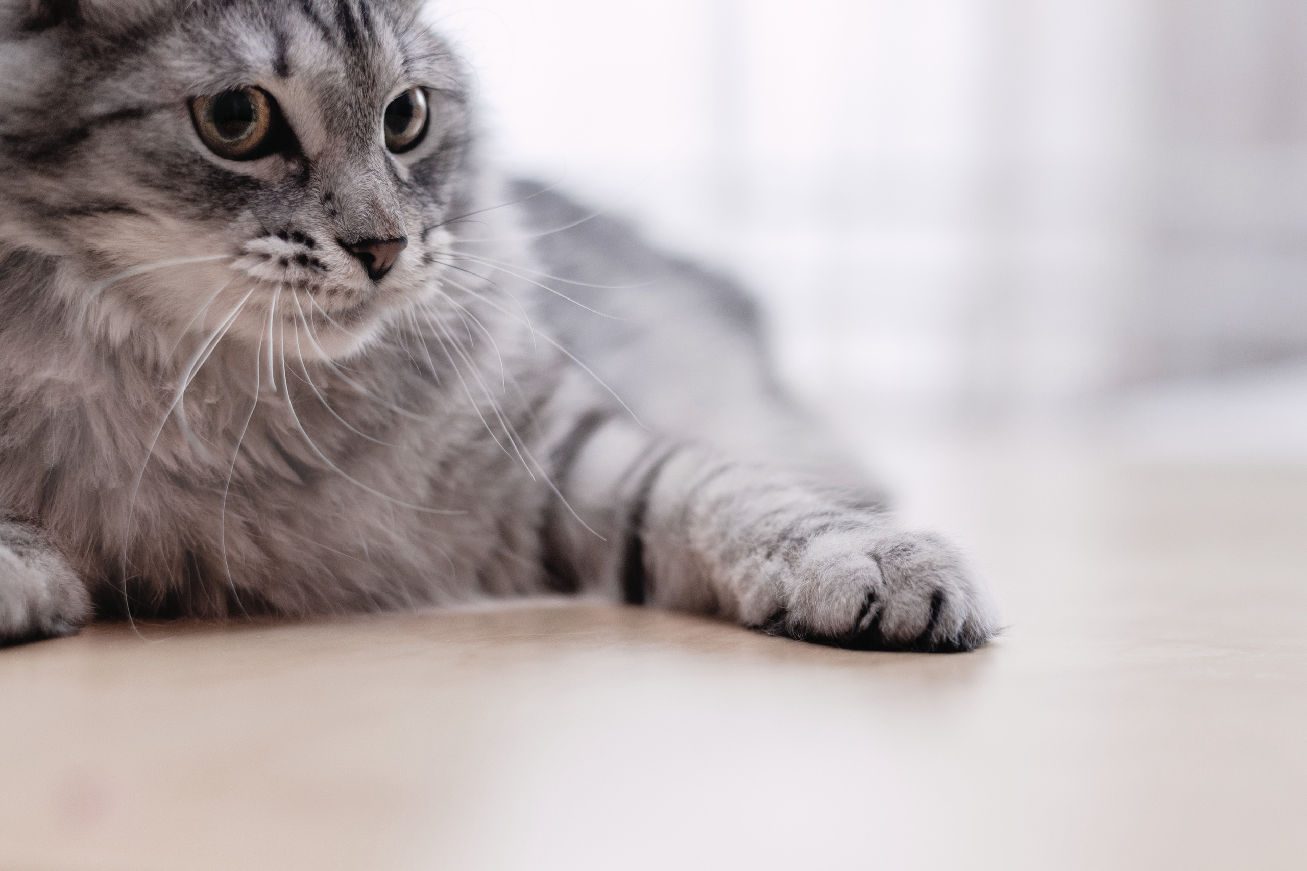 Космос 2023. Фотограф-анималист Татьяна Степанова