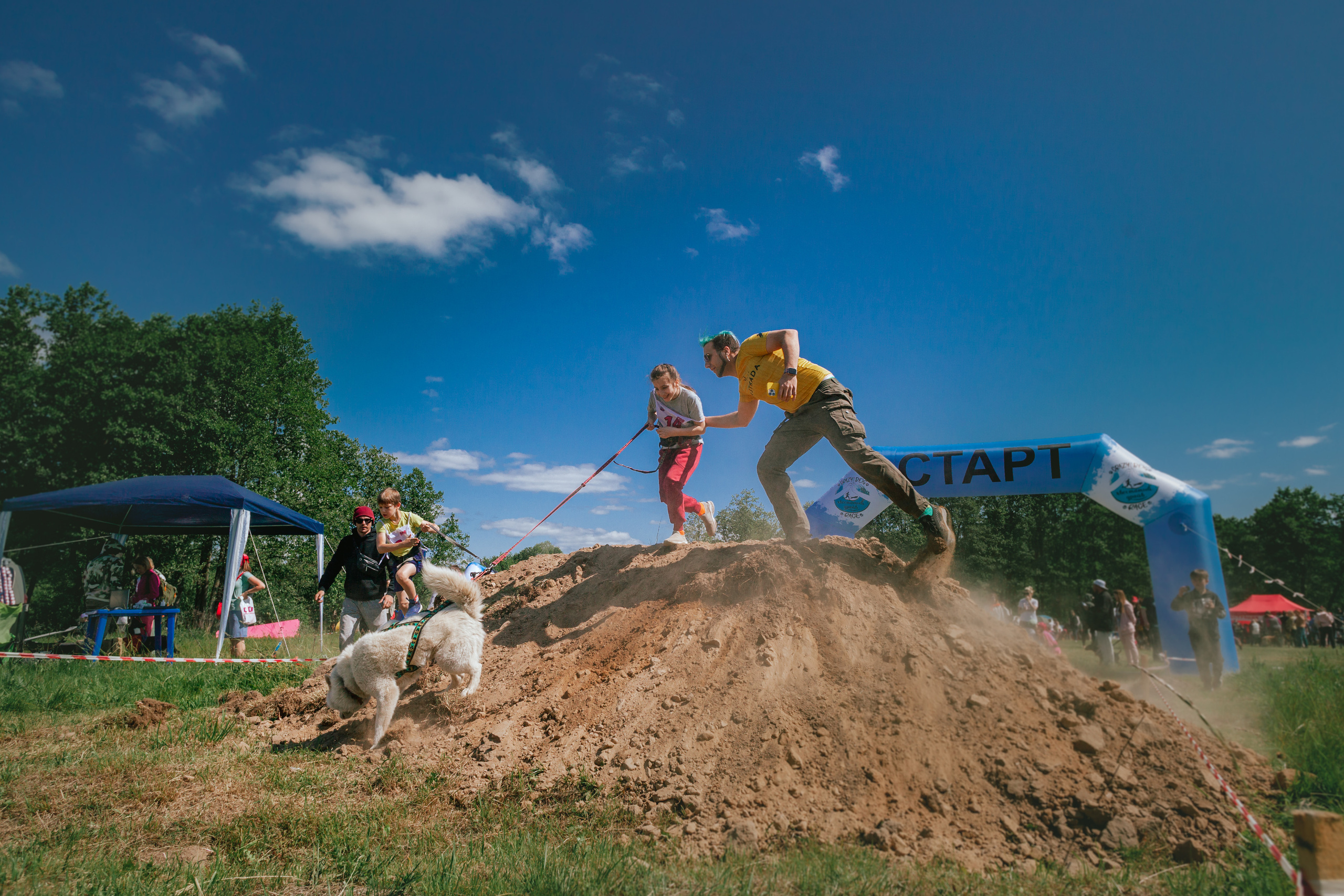 Хвостатый Драйв 11.06.2023. Фотограф-анималист Татьяна Степанова