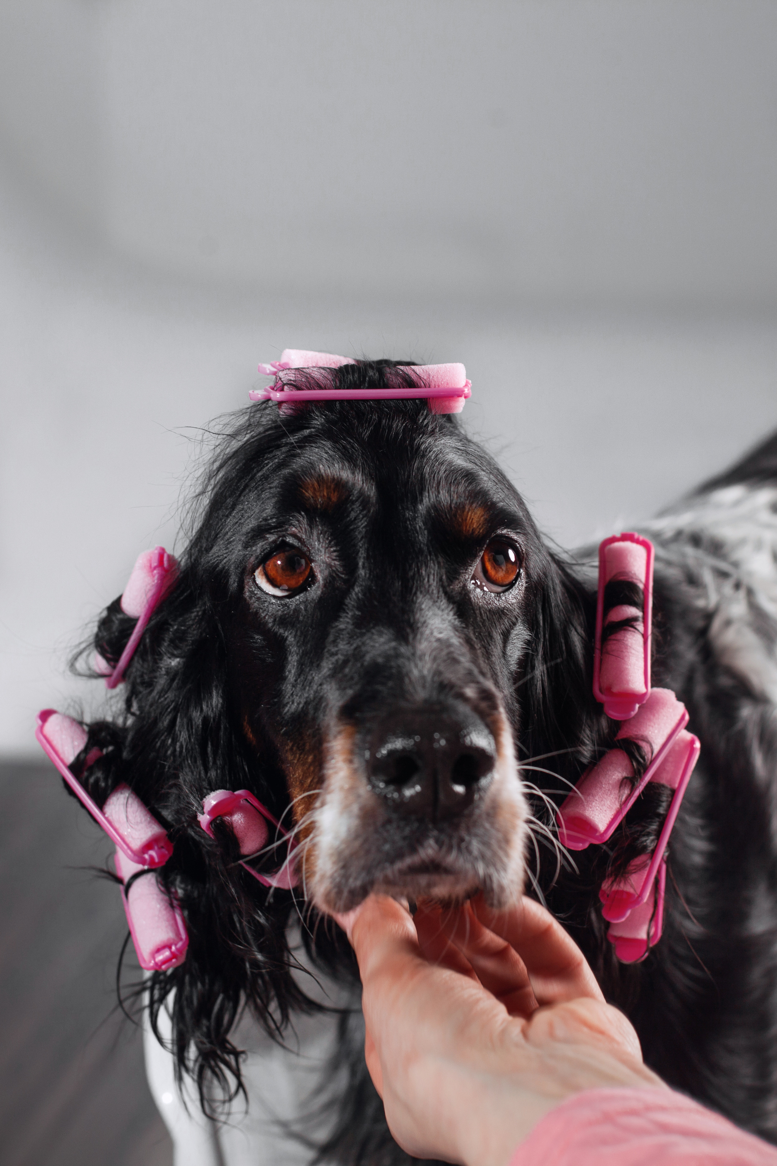 Света и Богдана. Фотограф-анималист Татьяна Степанова