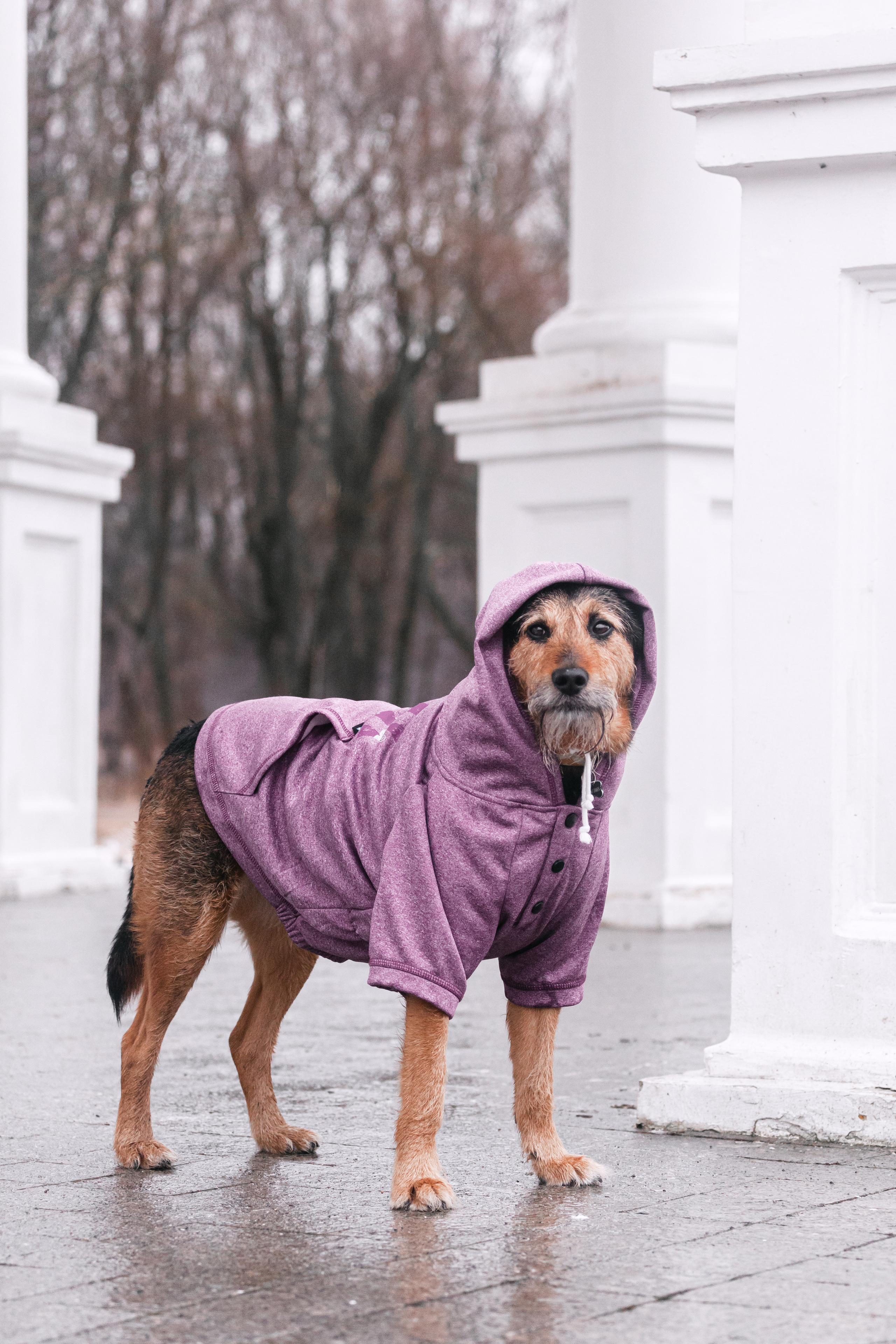 Лиза и Бренда. Фотограф-анималист Татьяна Степанова
