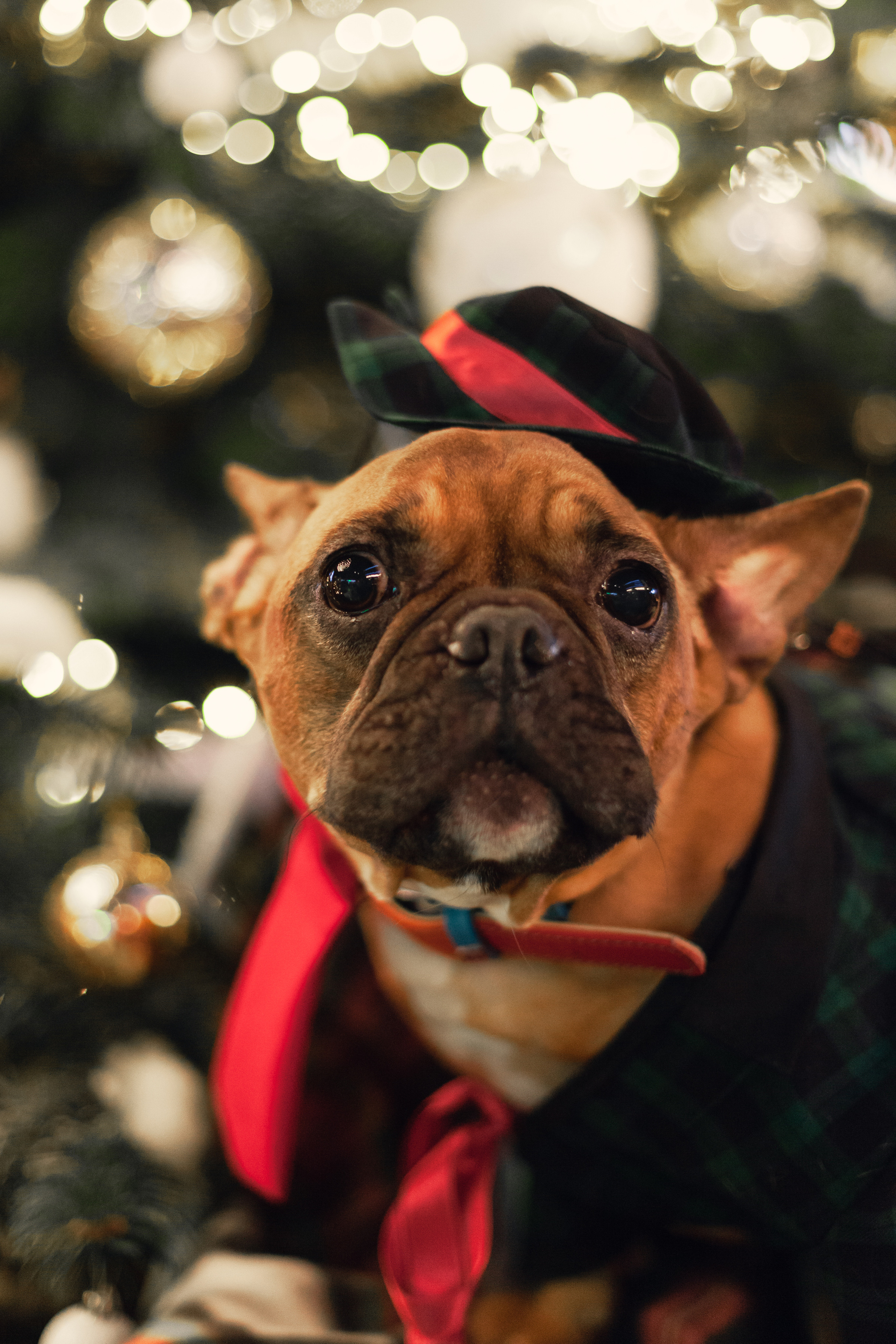 Бульелка 2022. Фотограф-анималист Татьяна Степанова