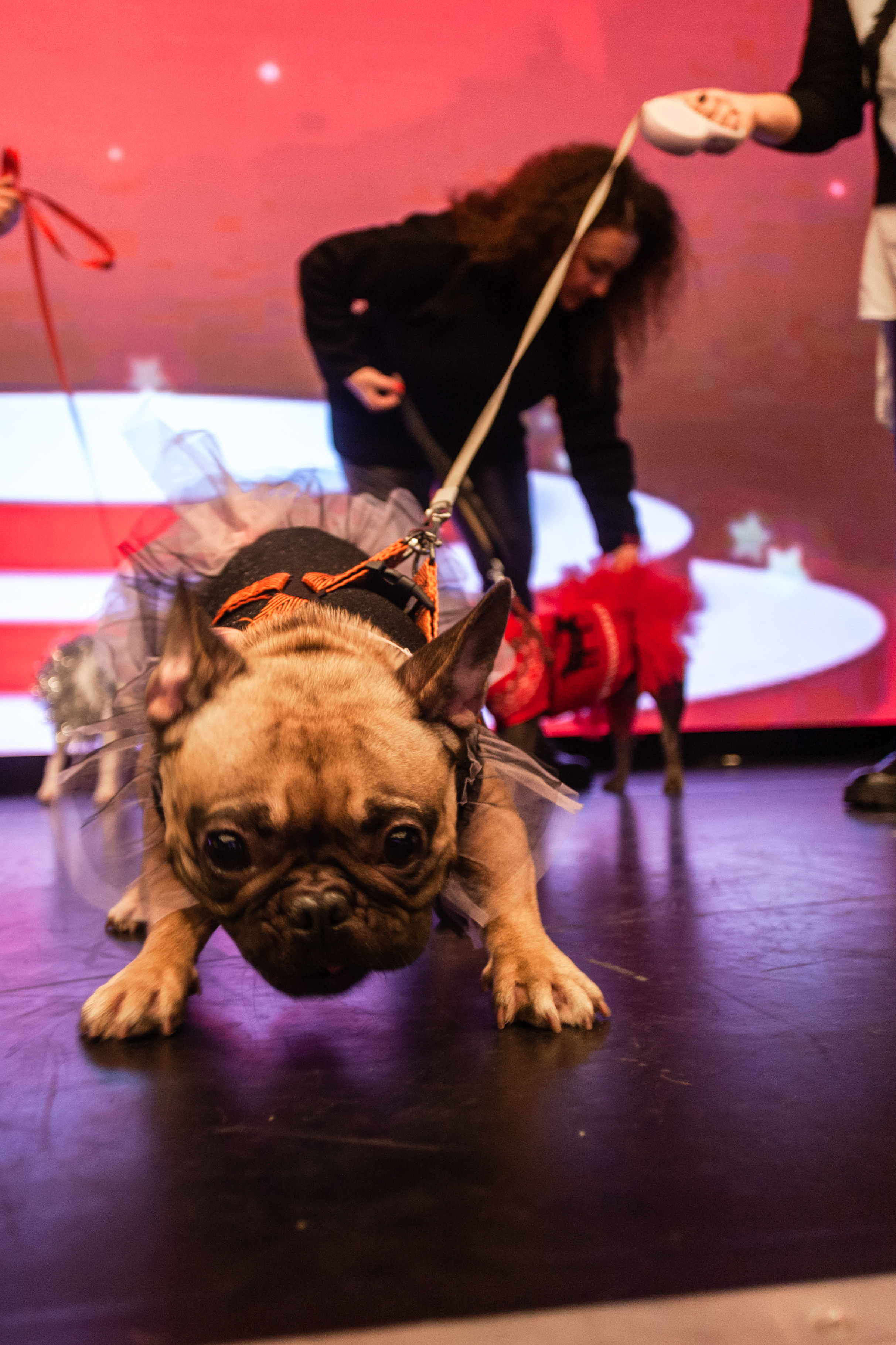 Бульелка 2022. Фотограф-анималист Татьяна Степанова