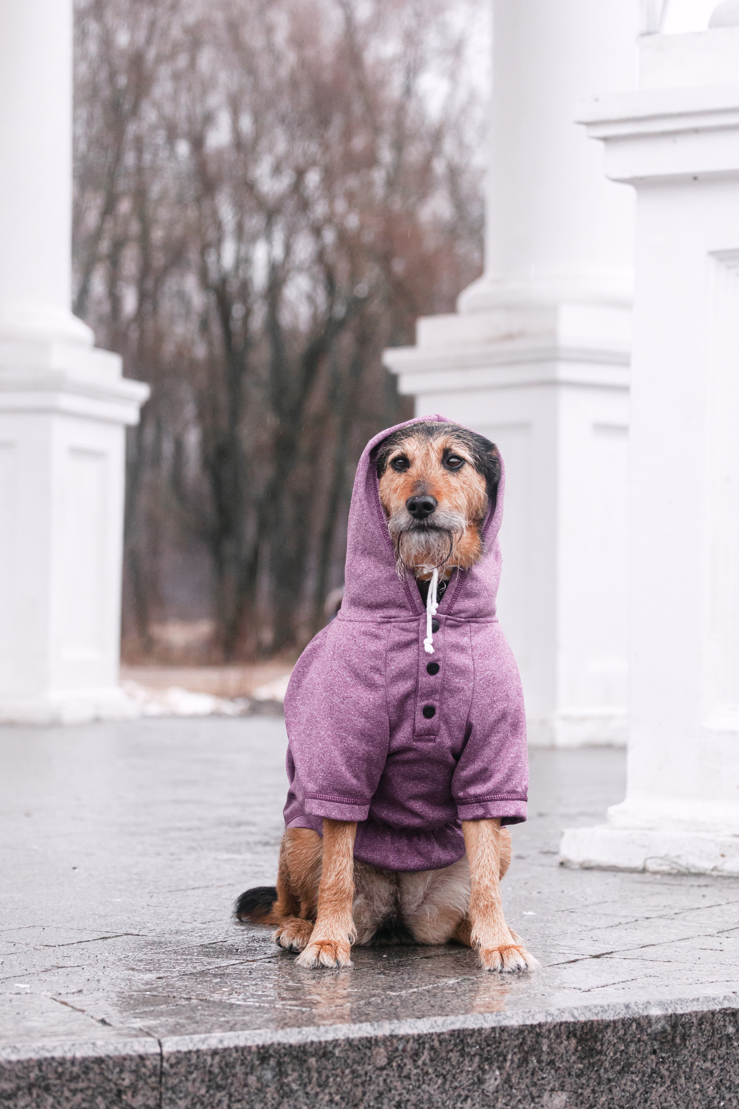 Лиза и Бренда. Фотограф-анималист Татьяна Степанова