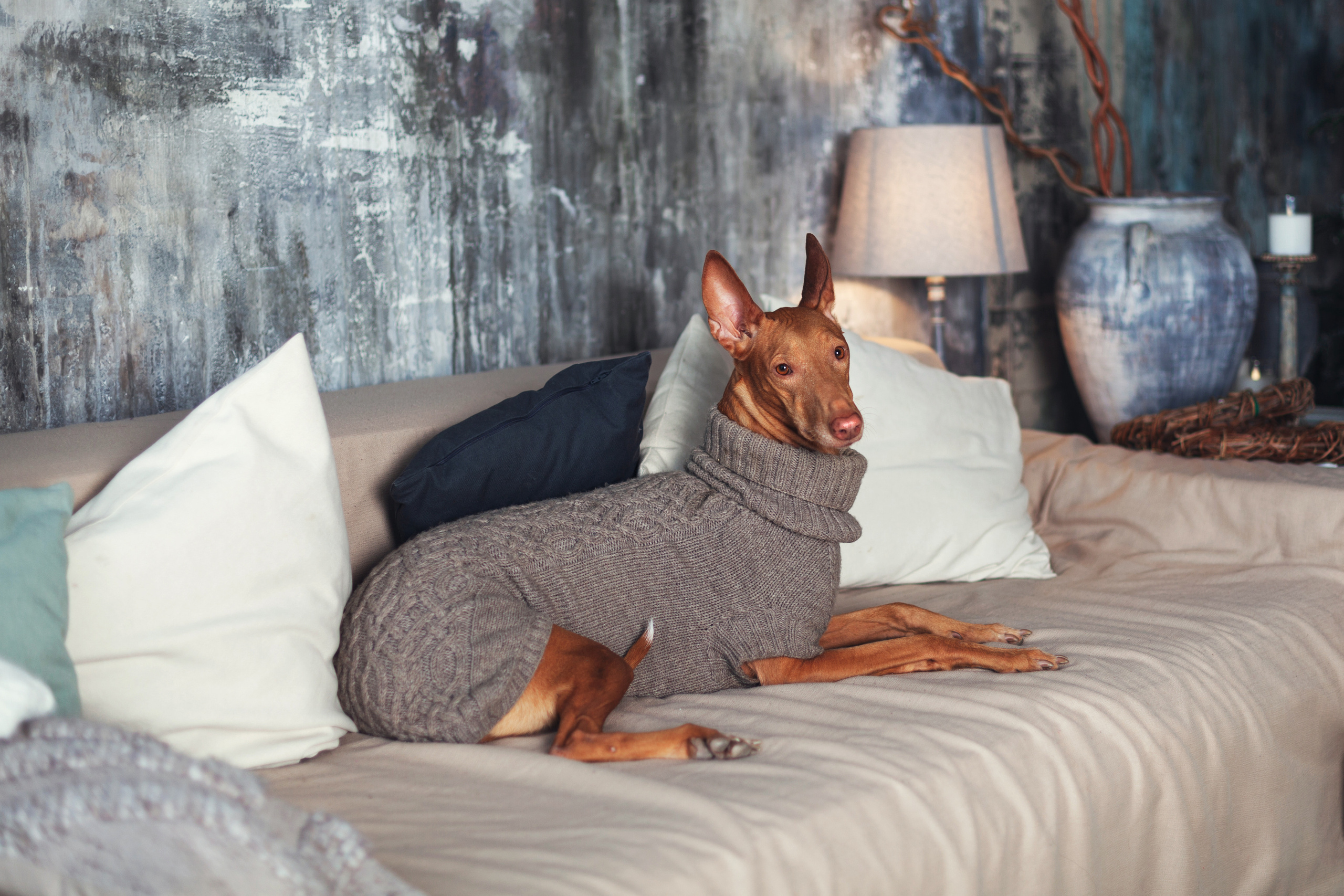 Юля и Мэри. Фотограф-анималист Татьяна Степанова