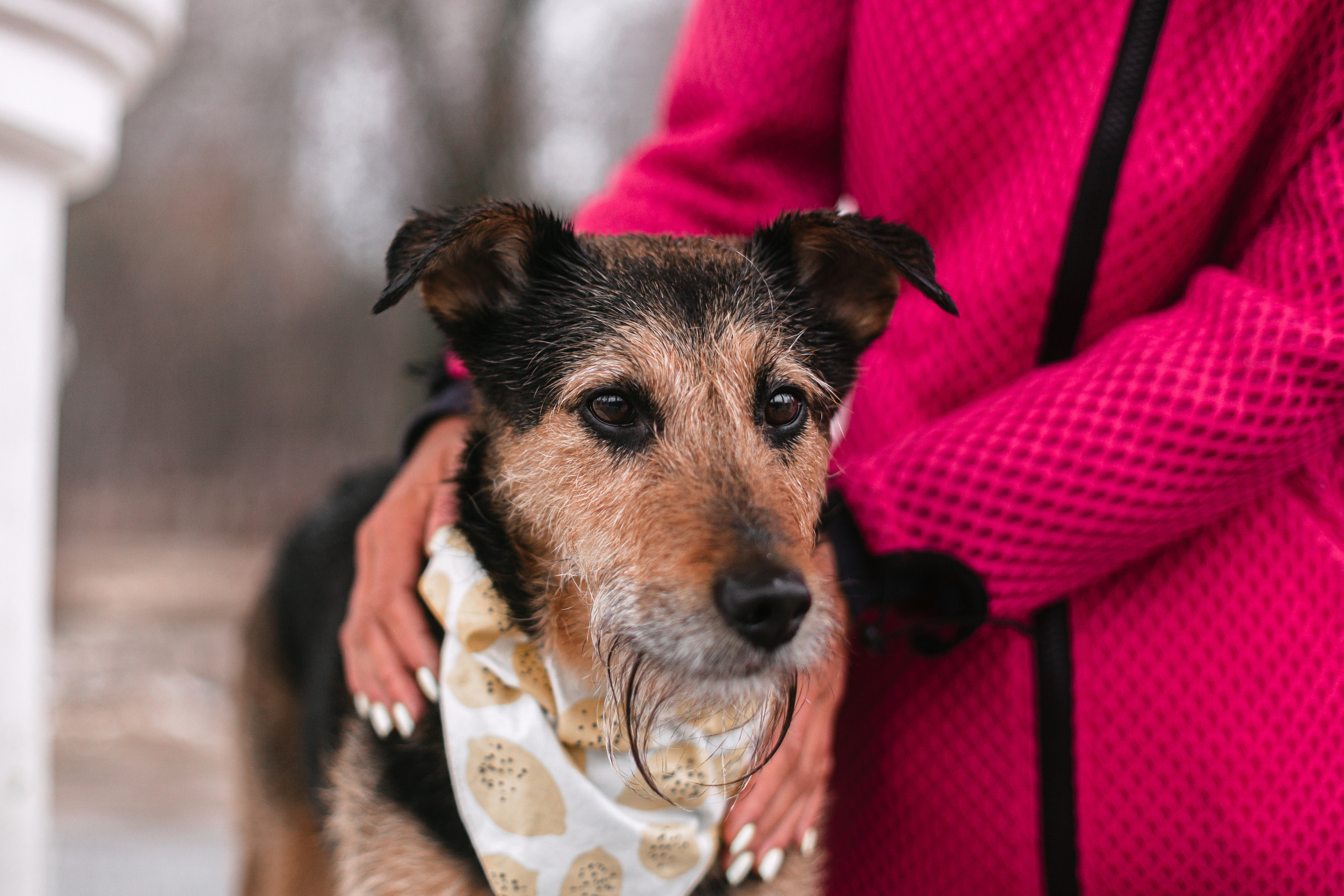 Лиза и Бренда. Фотограф-анималист Татьяна Степанова