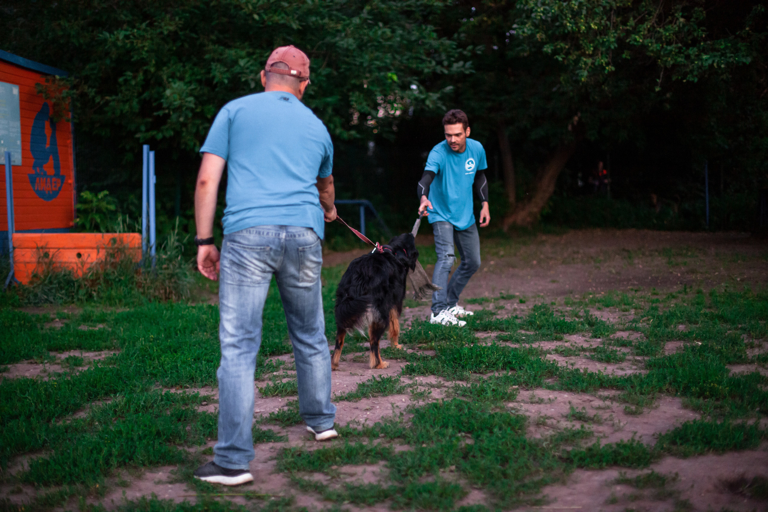 Занятие ЗКС+Выборка 2022. Фотограф-анималист Татьяна Степанова