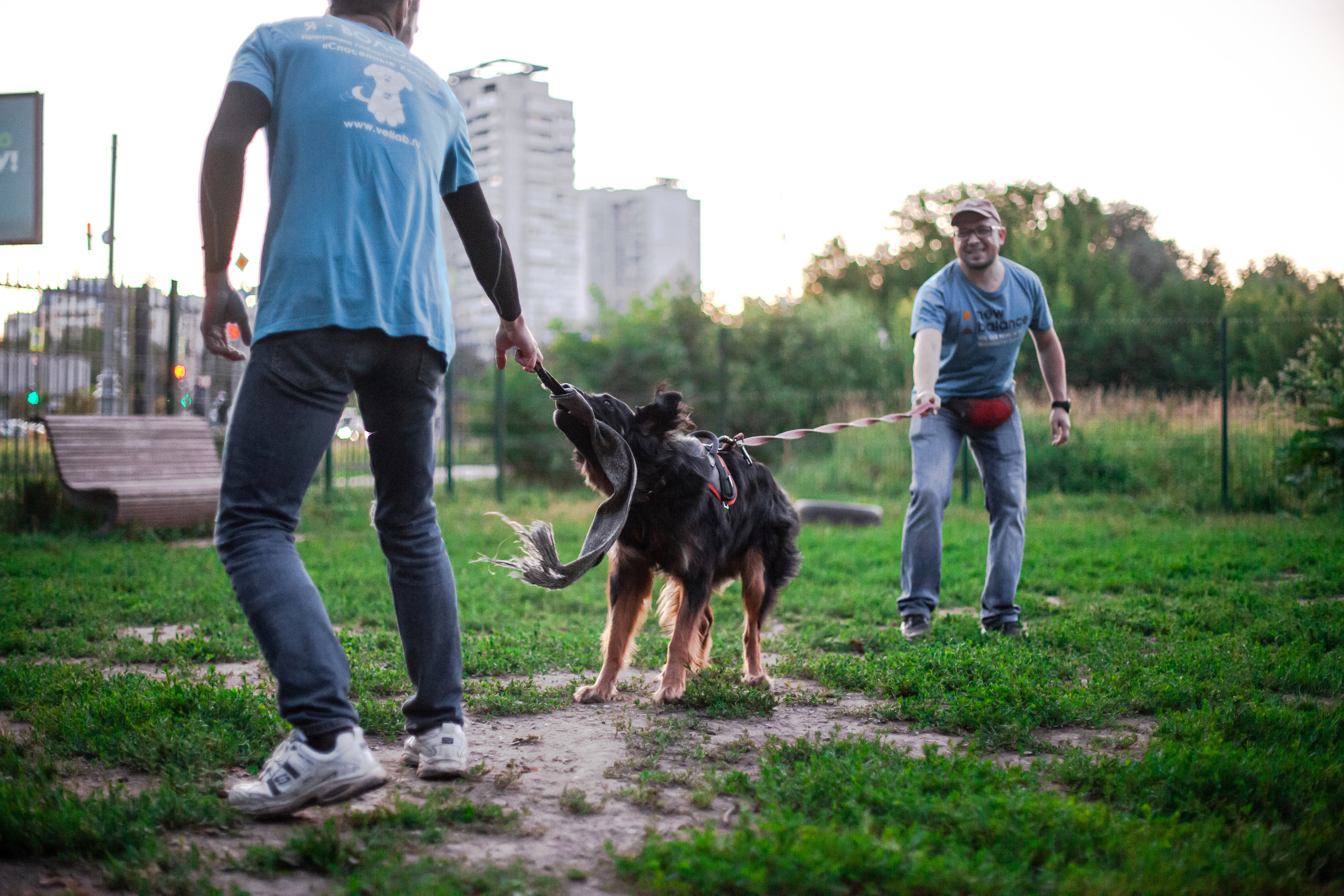 Занятие ЗКС+Выборка 2022. Фотограф-анималист Татьяна Степанова
