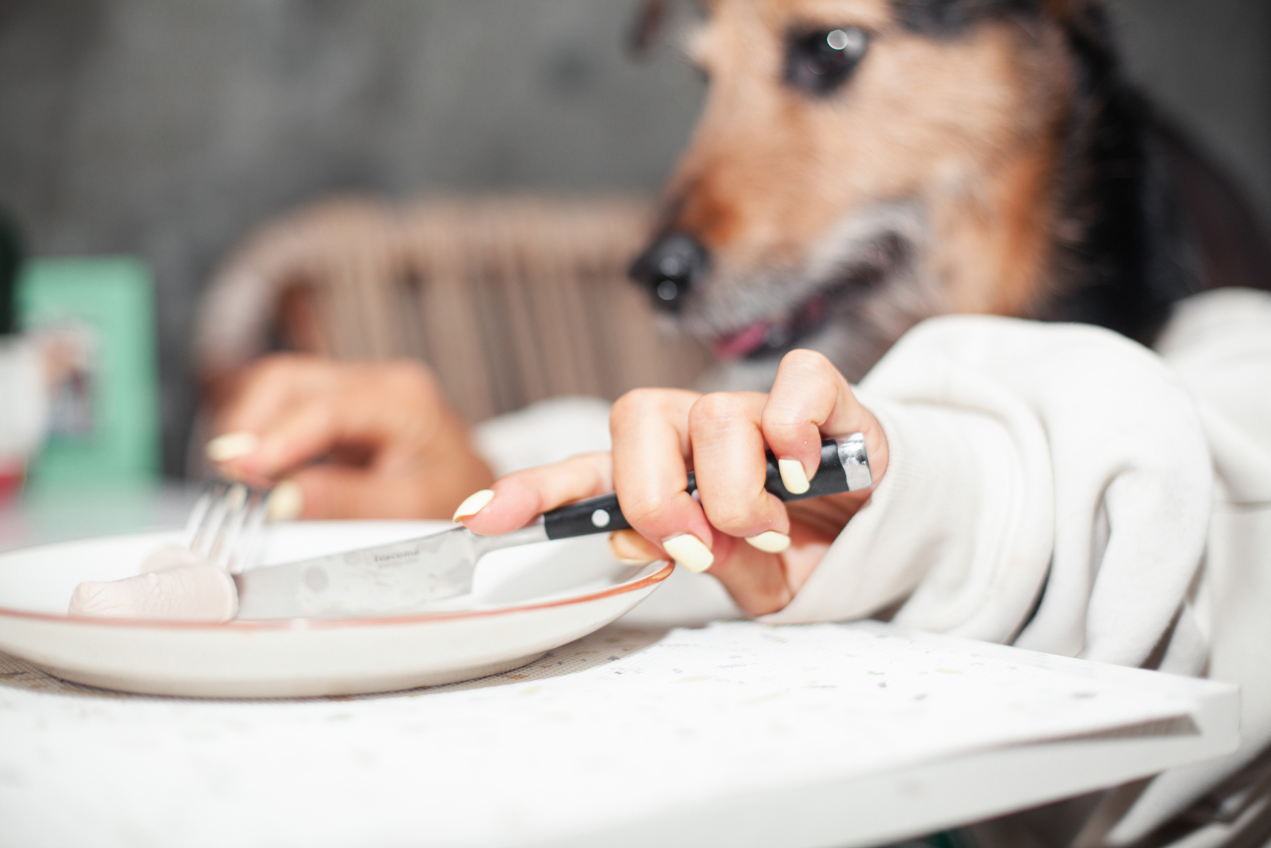 Лиза и Бренда. Фотограф-анималист Татьяна Степанова