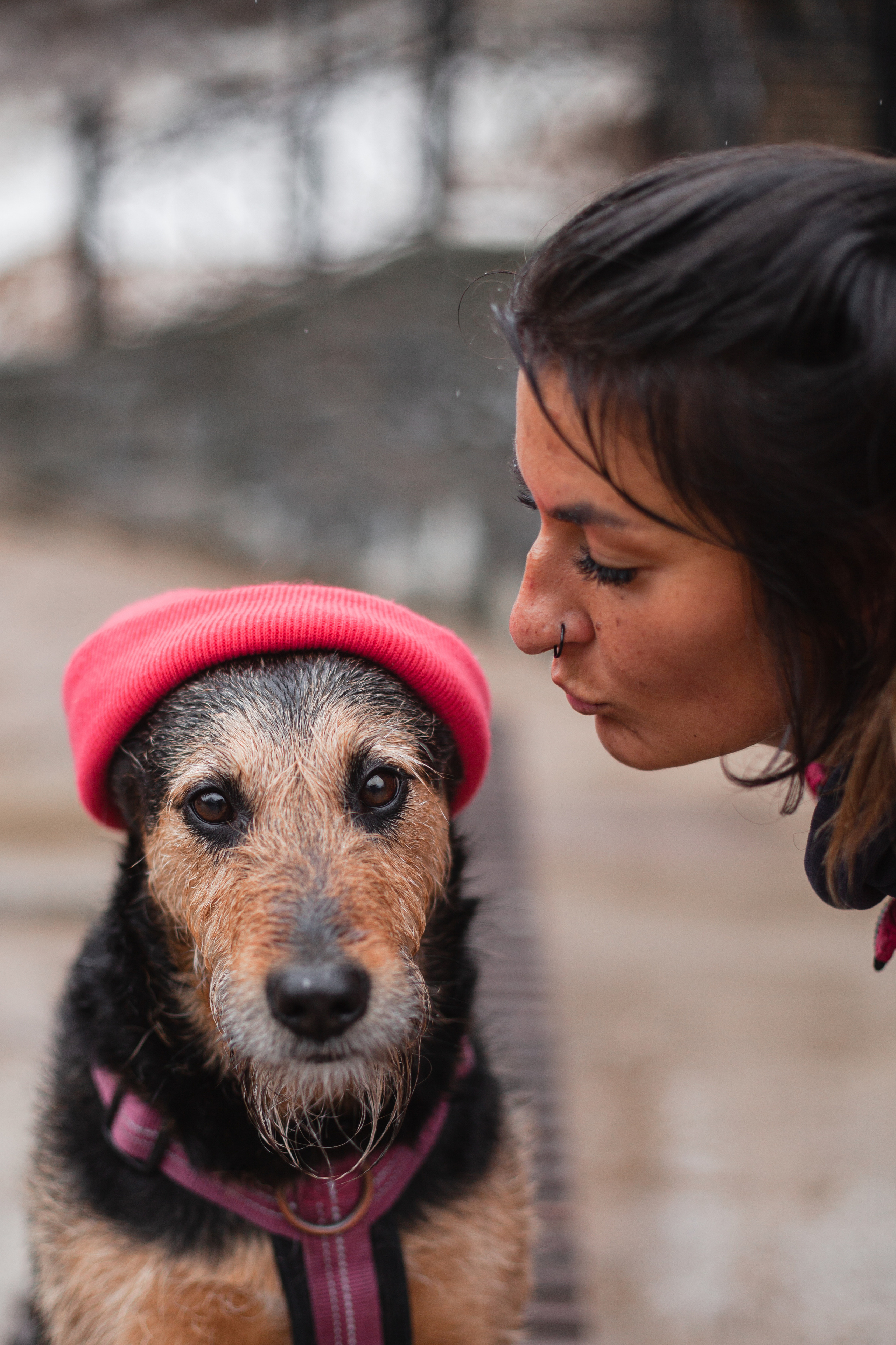 Лиза и Бренда. Фотограф-анималист Татьяна Степанова