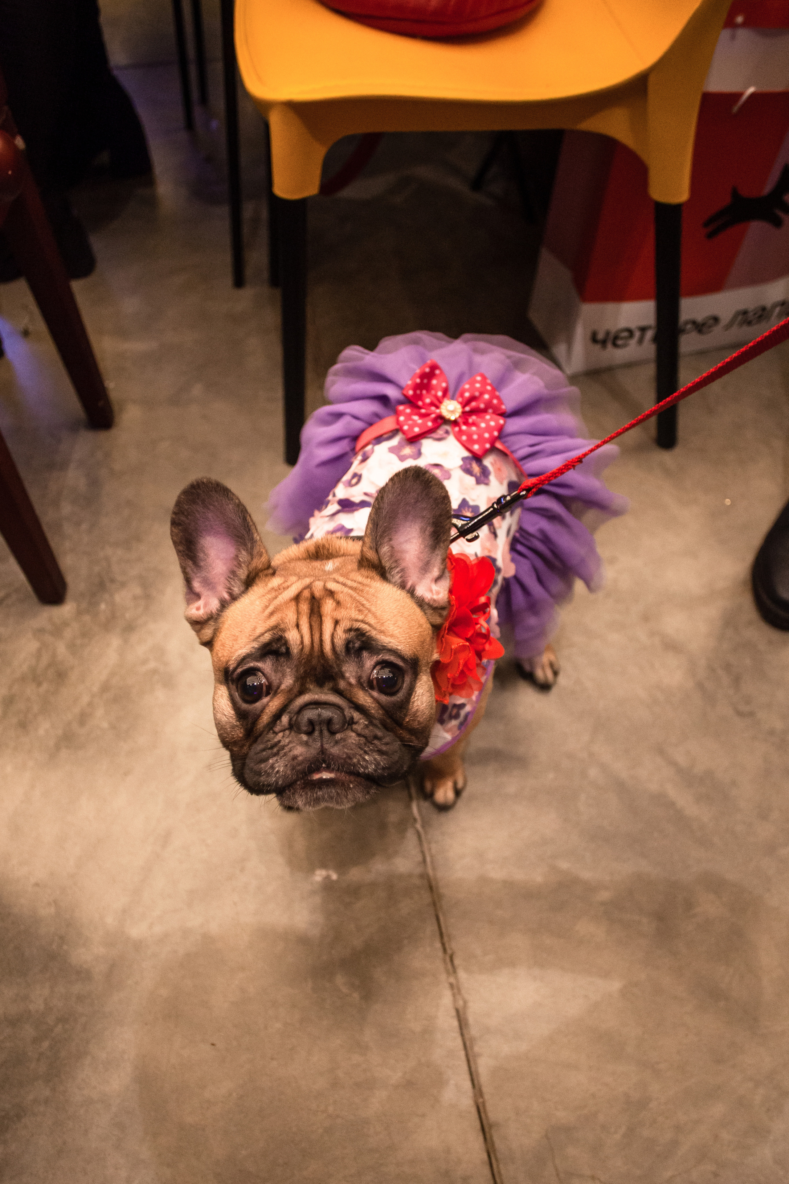 Бульелка 2022. Фотограф-анималист Татьяна Степанова