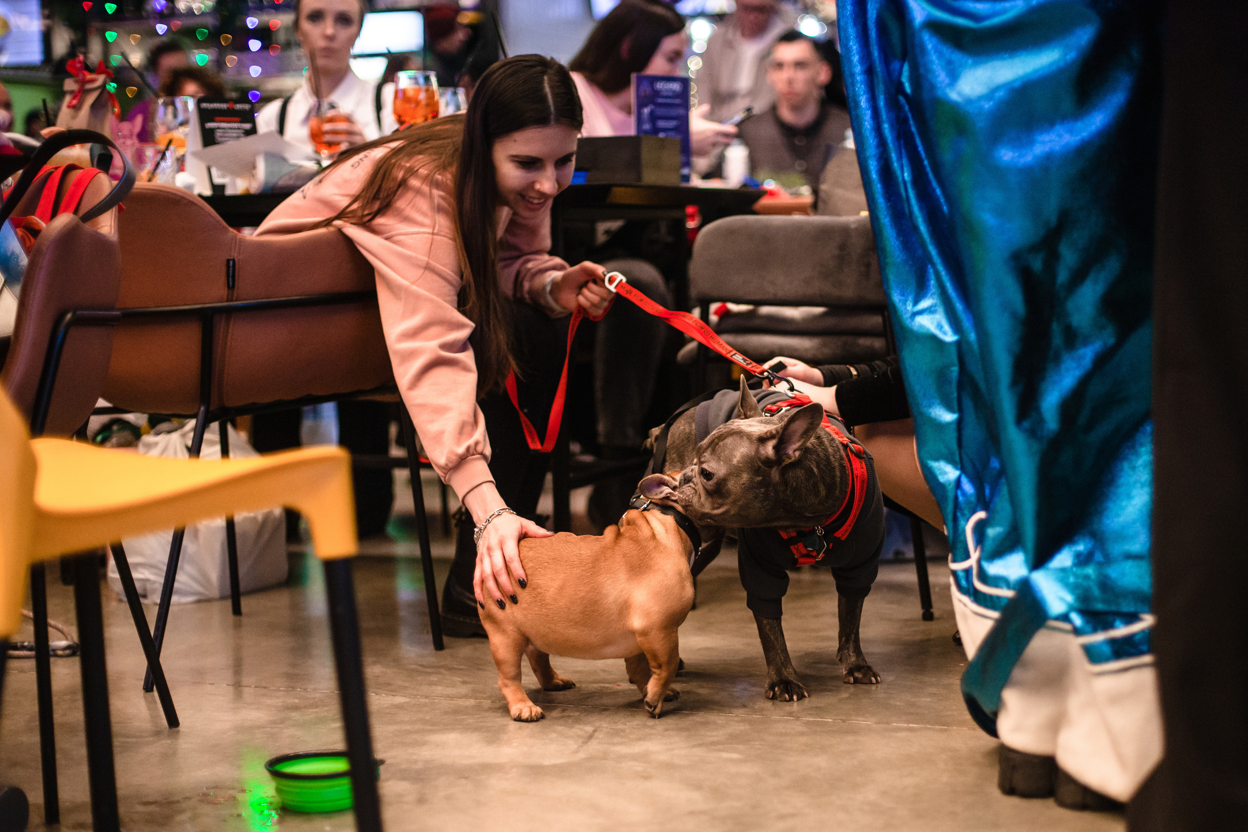 Бульелка 2022. Фотограф-анималист Татьяна Степанова