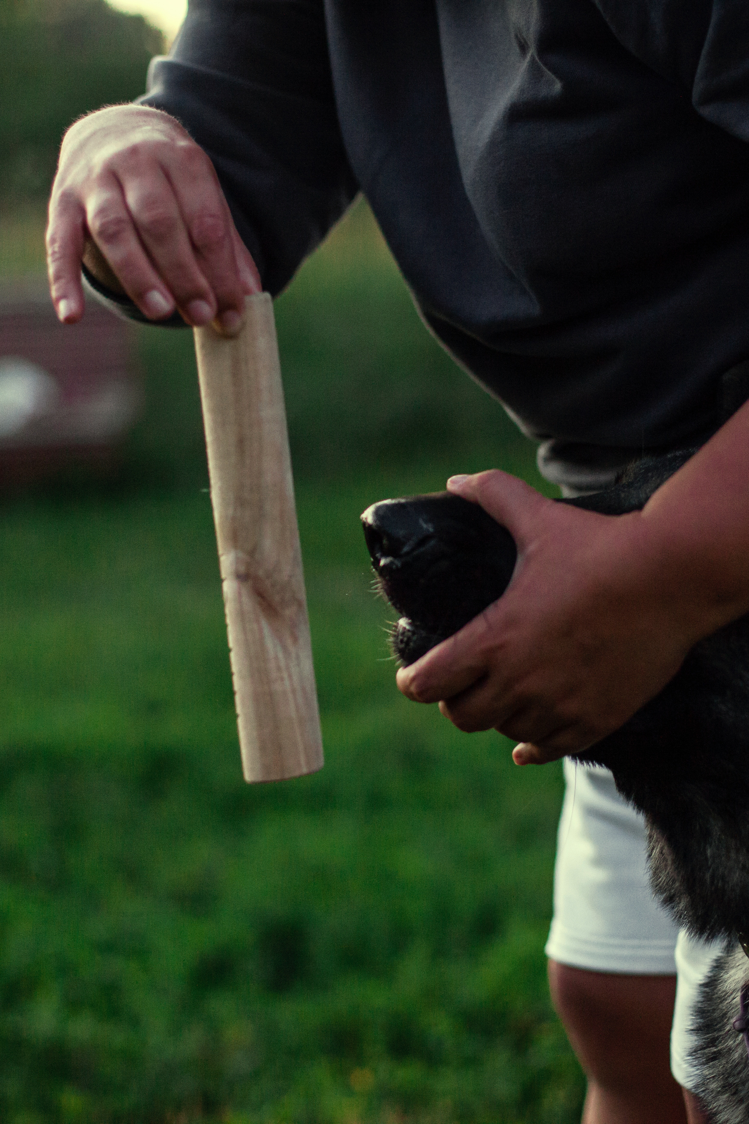 Занятие ЗКС+Выборка 2022. Фотограф-анималист Татьяна Степанова