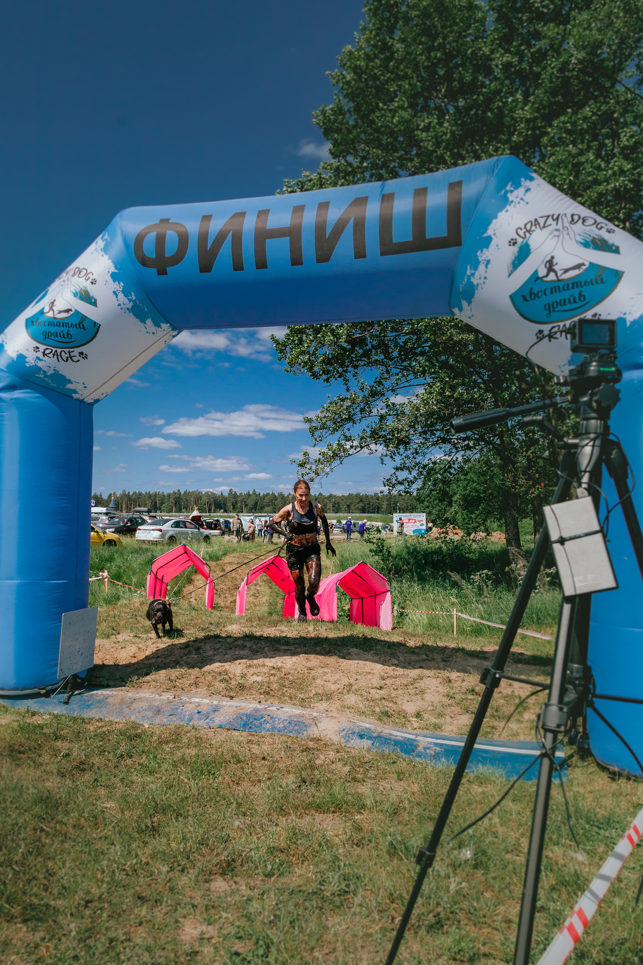 Хвостатый Драйв 11.06.2023. Фотограф-анималист Татьяна Степанова