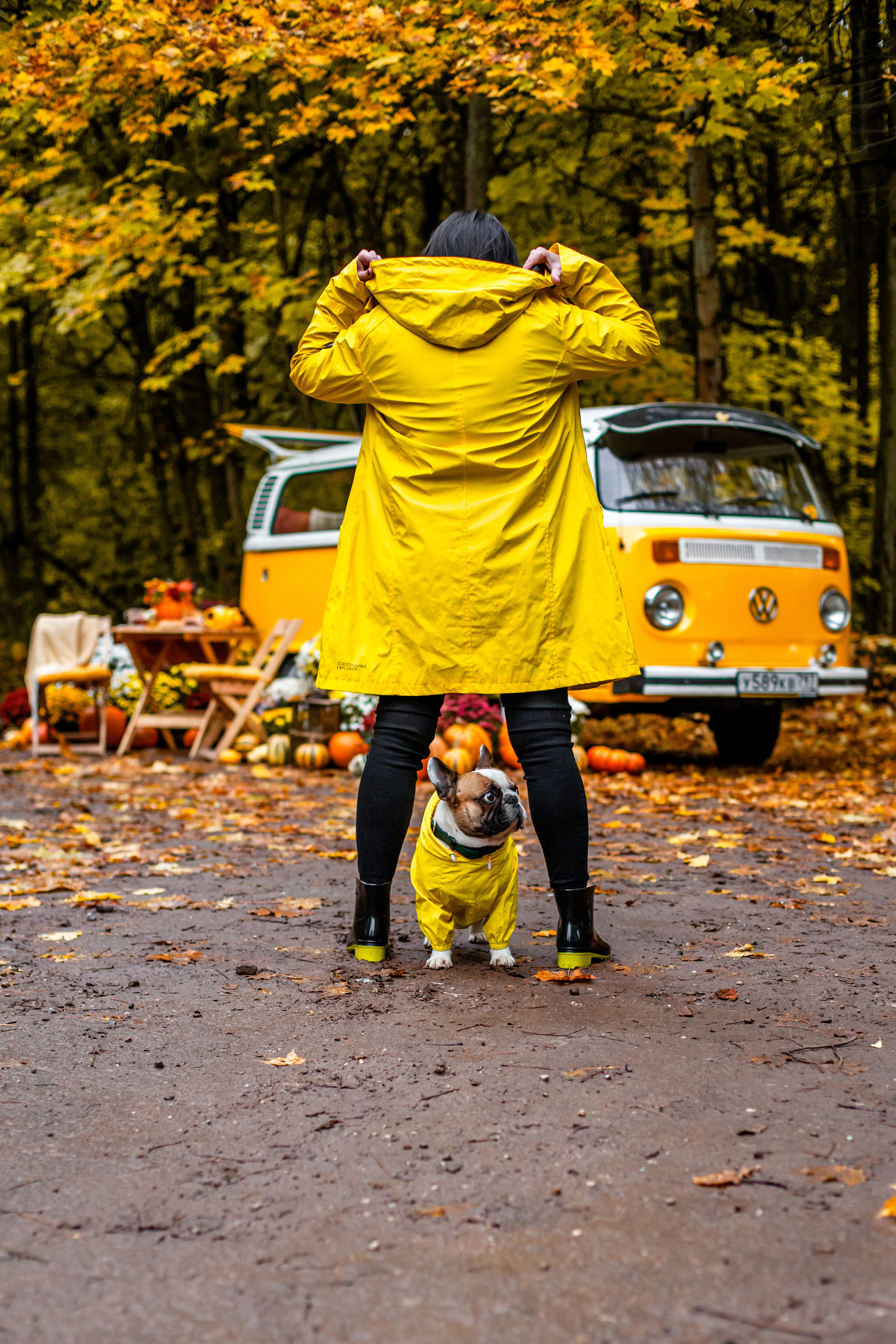 Съемка с ретро автобусом. Фотограф-анималист Татьяна Степанова