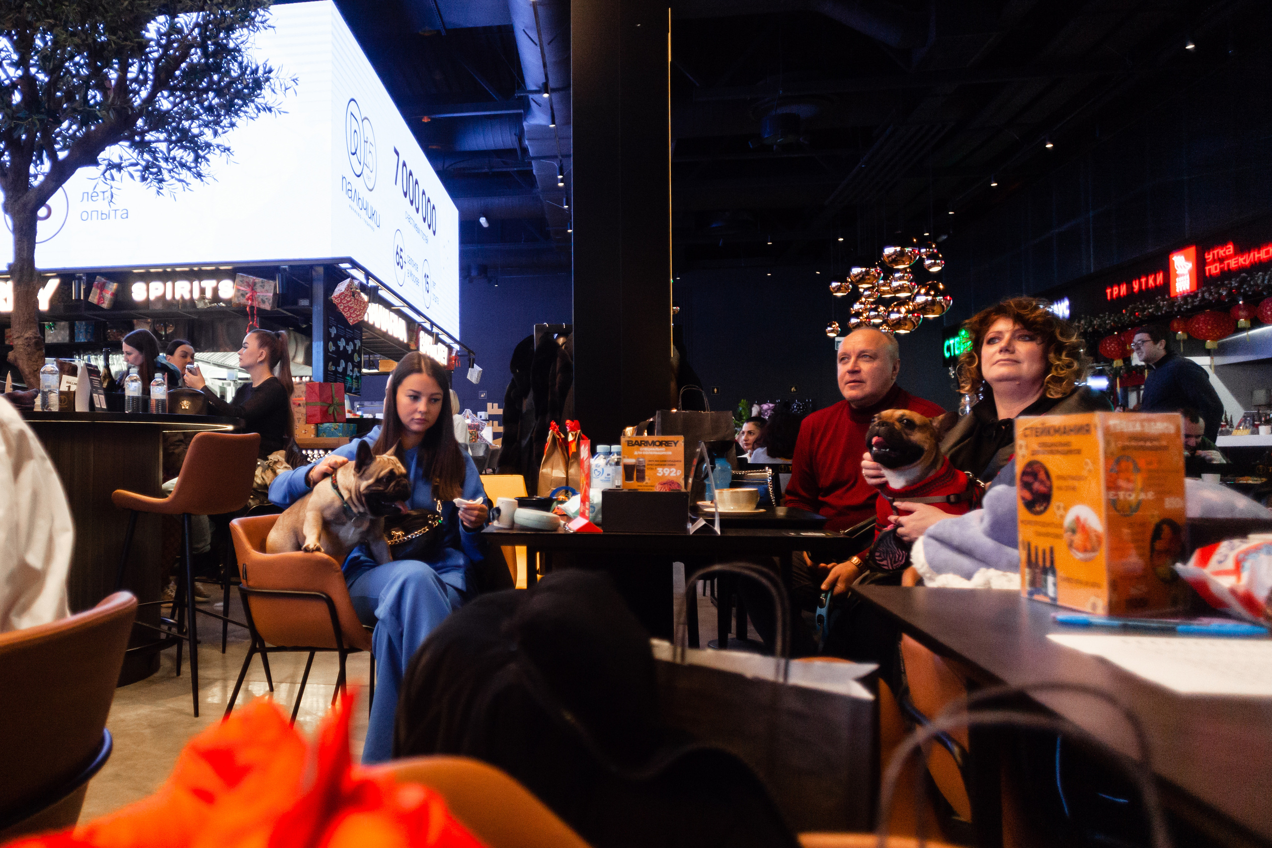 Бульелка 2022. Фотограф-анималист Татьяна Степанова