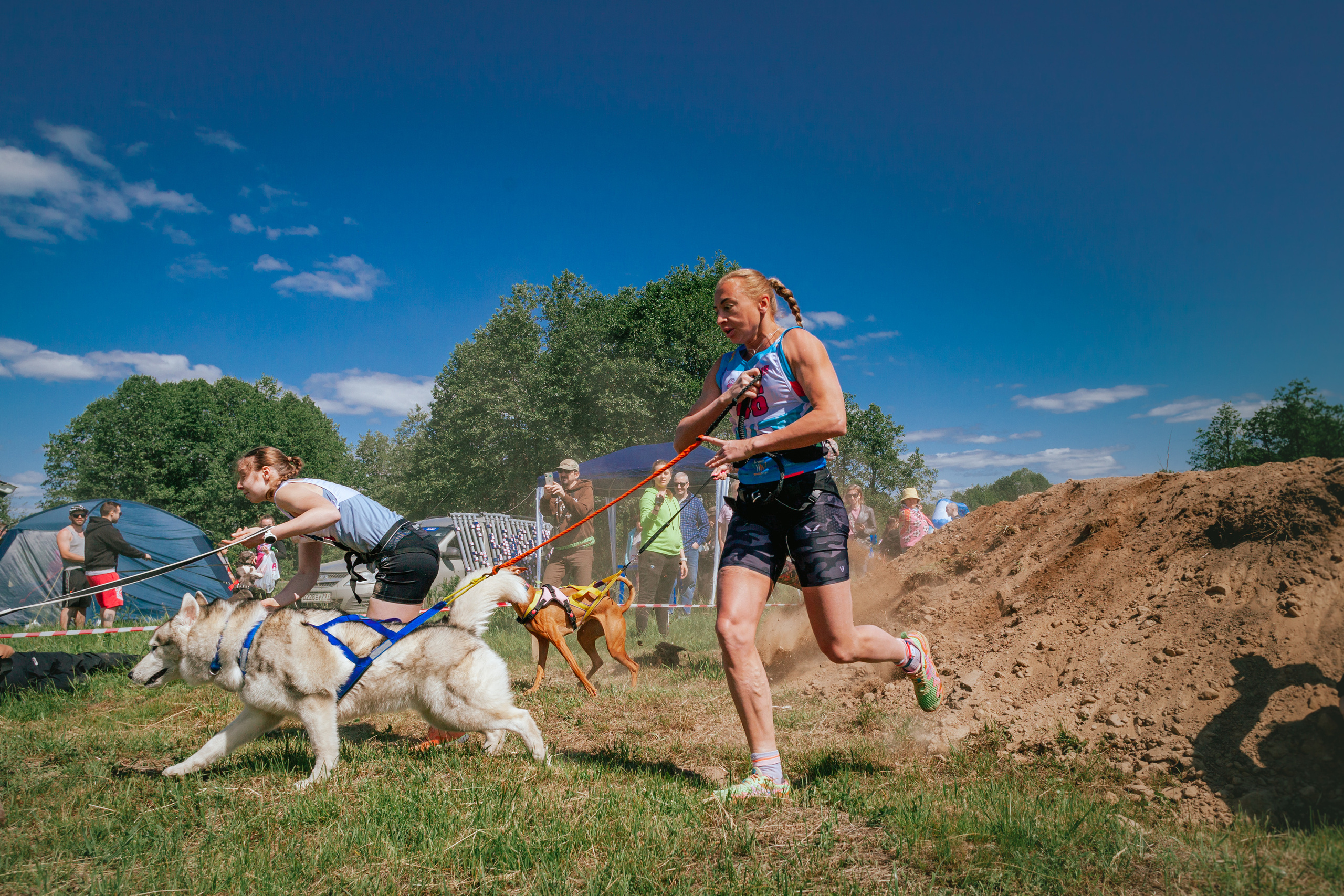 Хвостатый Драйв 11.06.2023. Фотограф-анималист Татьяна Степанова