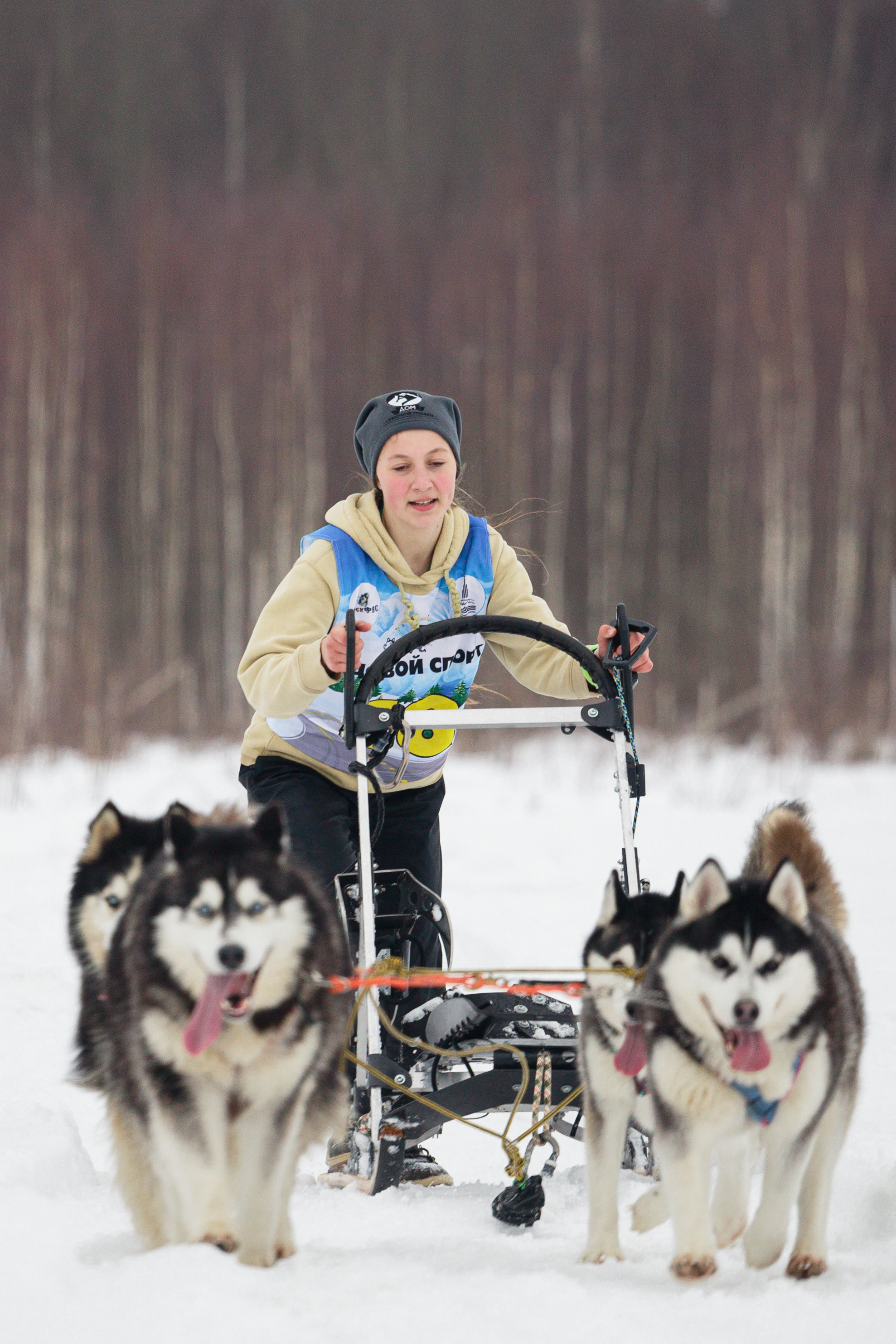 Холодные игры 28 февраля 2022. Фотограф-анималист Татьяна Степанова