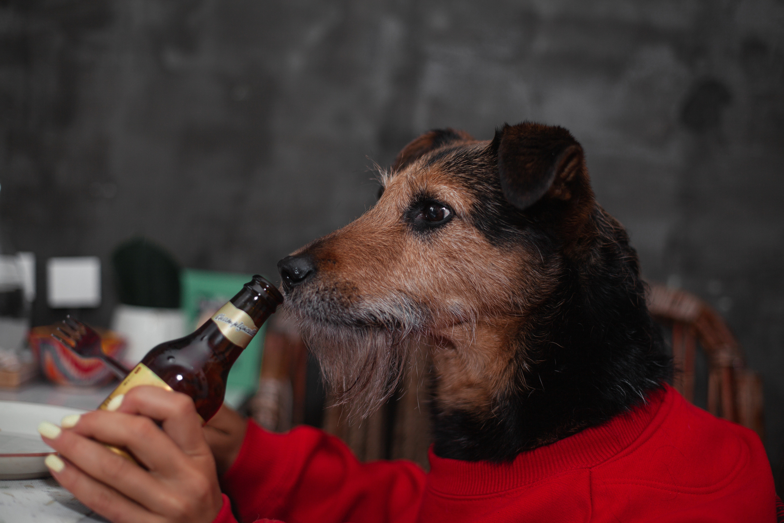 Лиза и Бренда. Фотограф-анималист Татьяна Степанова