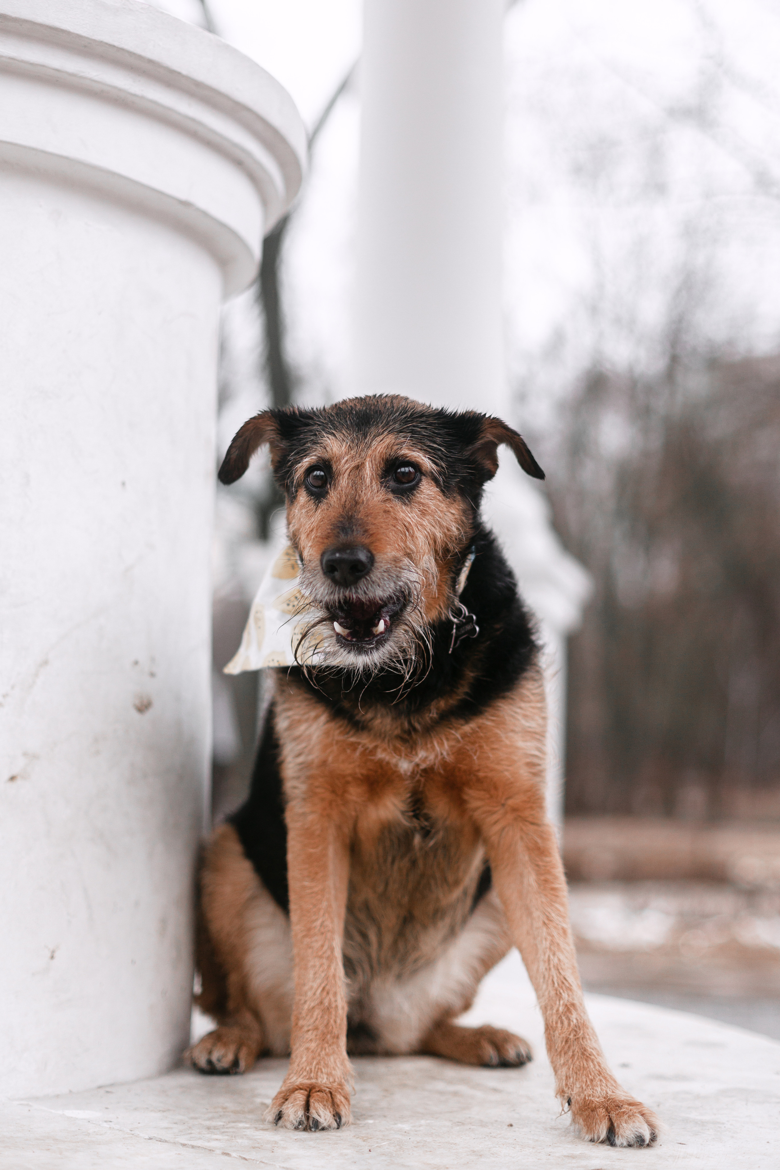 Лиза и Бренда. Фотограф-анималист Татьяна Степанова