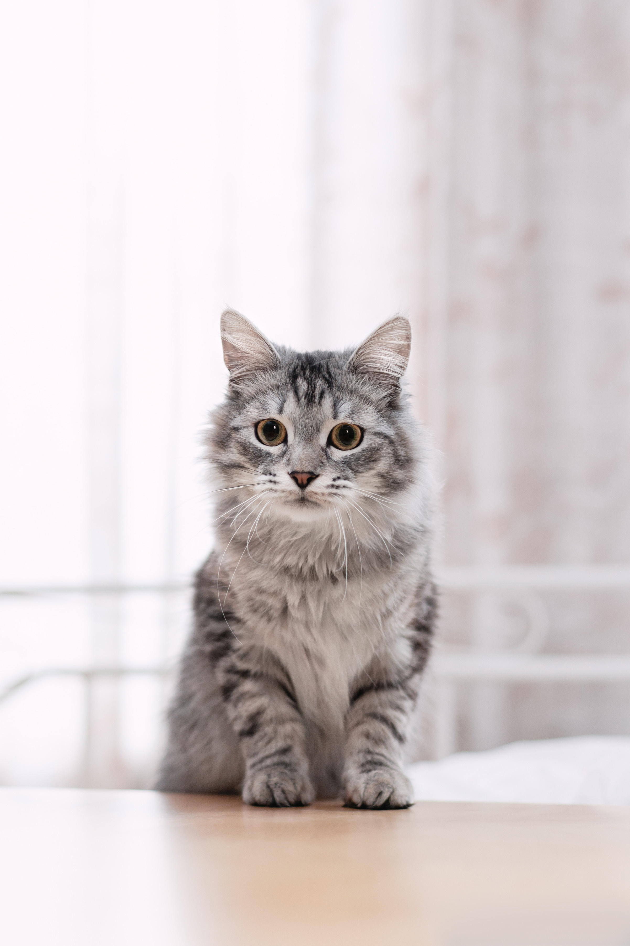 Космос 2023. Фотограф-анималист Татьяна Степанова