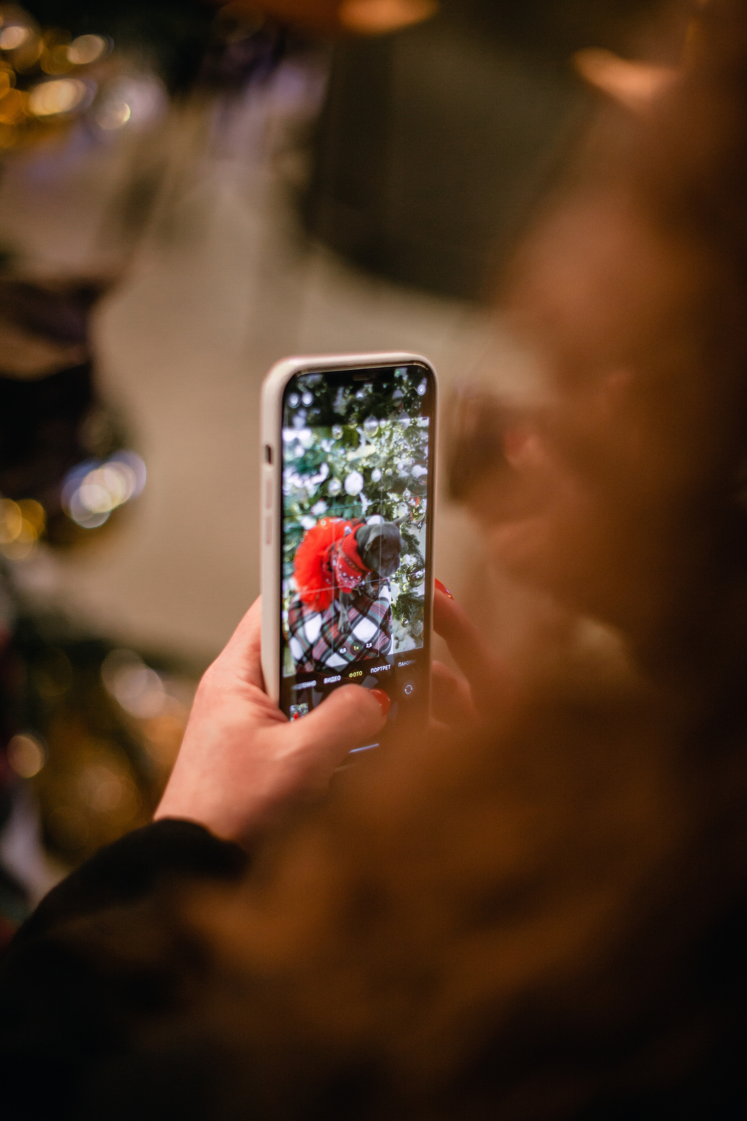 Бульелка 2022. Фотограф-анималист Татьяна Степанова