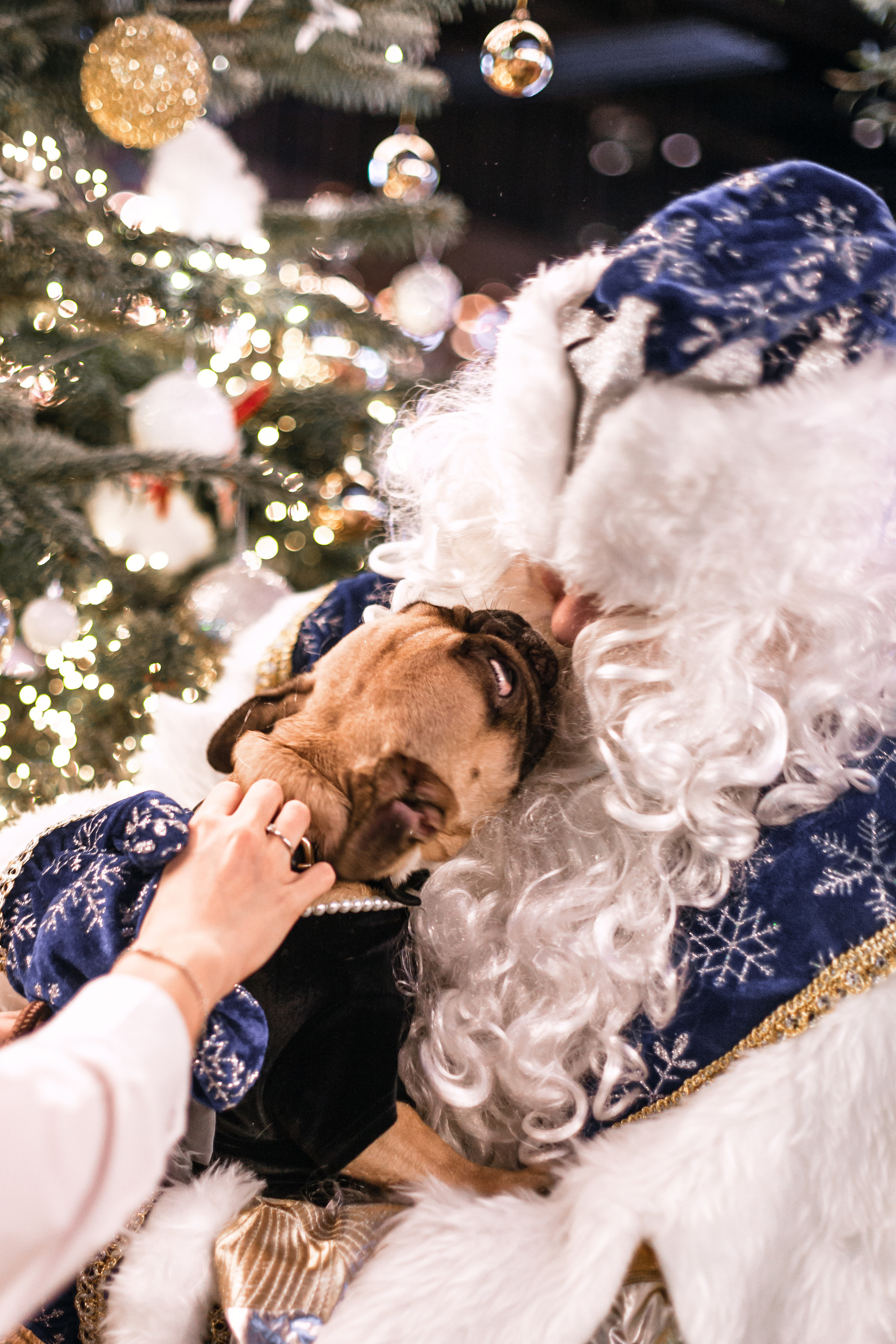 Бульелка 2022. Фотограф-анималист Татьяна Степанова