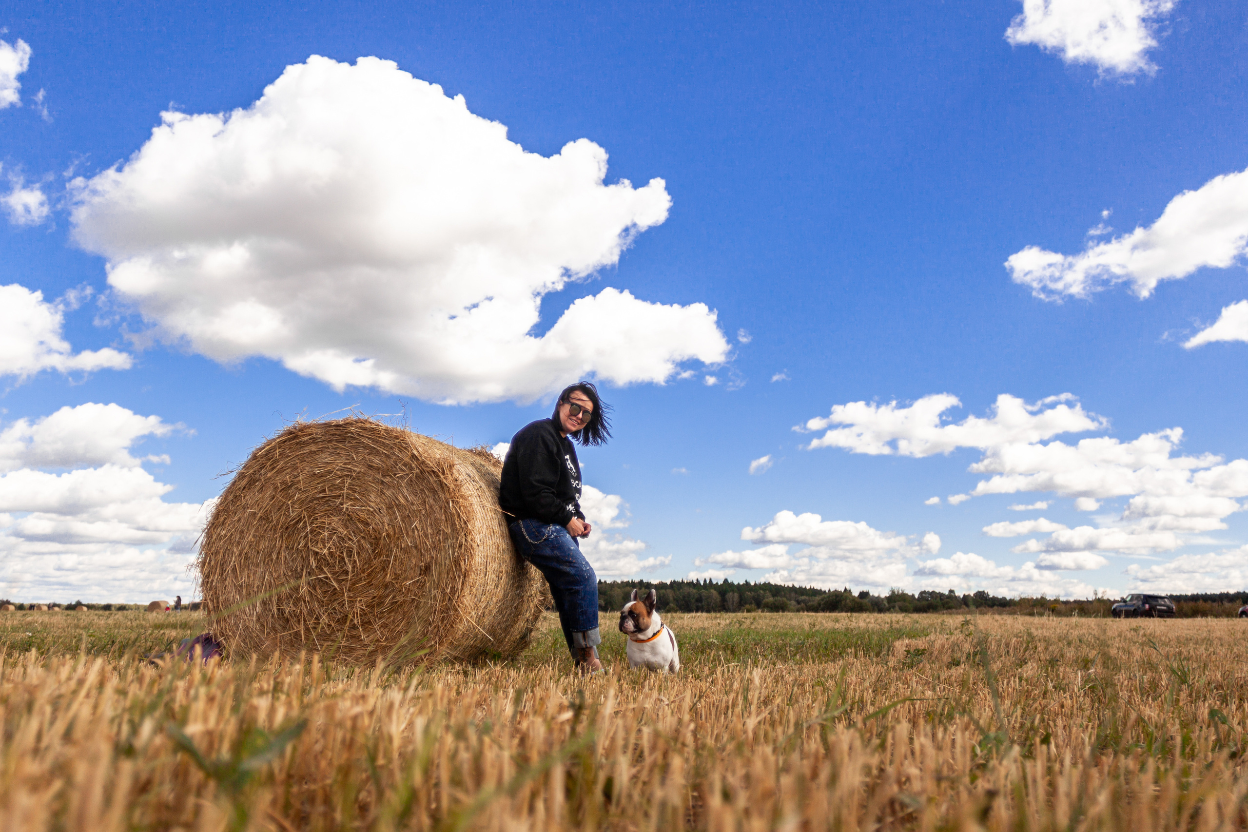 Коломна, стога и подсолнухи. Фотограф-анималист Татьяна Степанова