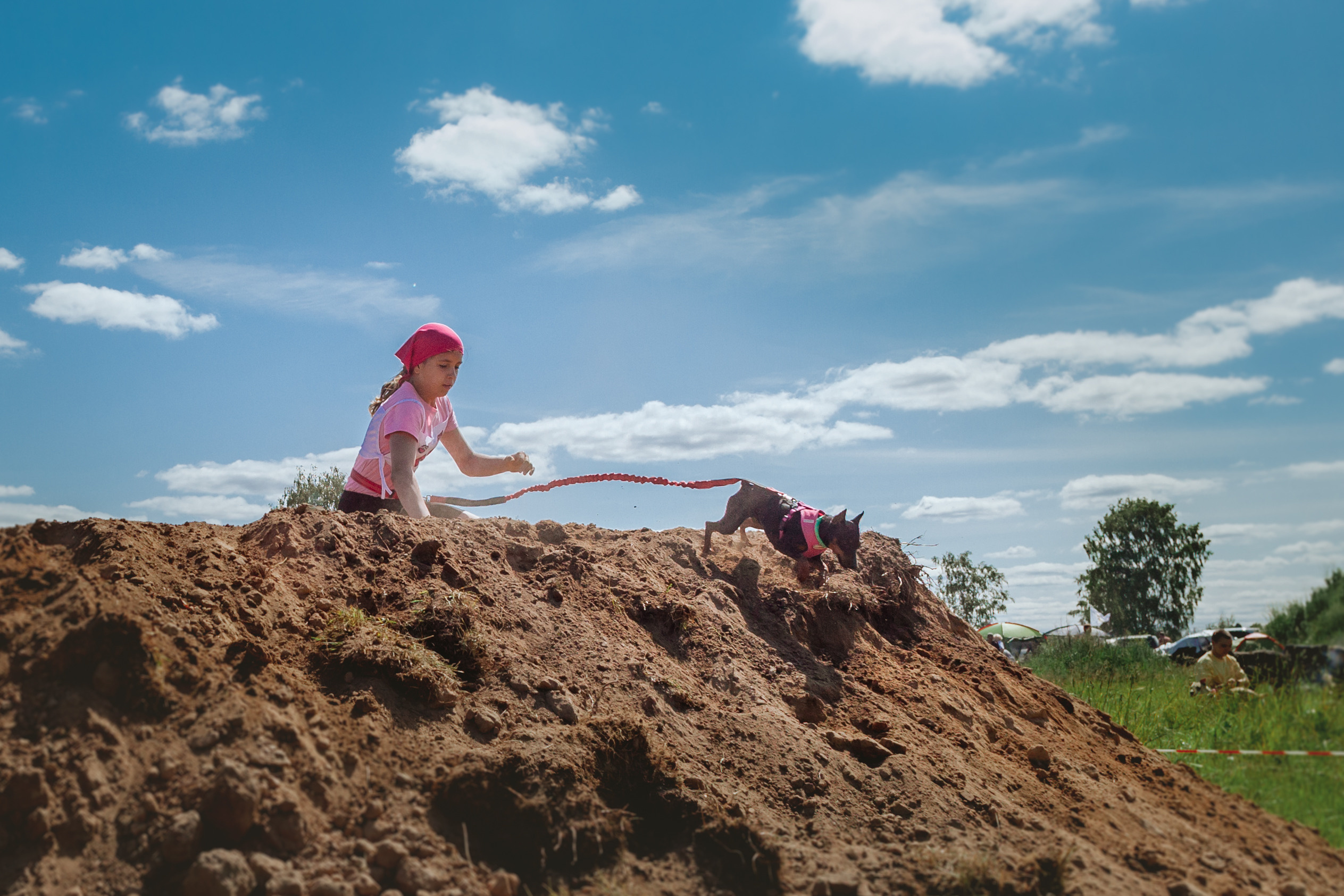 Хвостатый Драйв 11.06.2023. Фотограф-анималист Татьяна Степанова