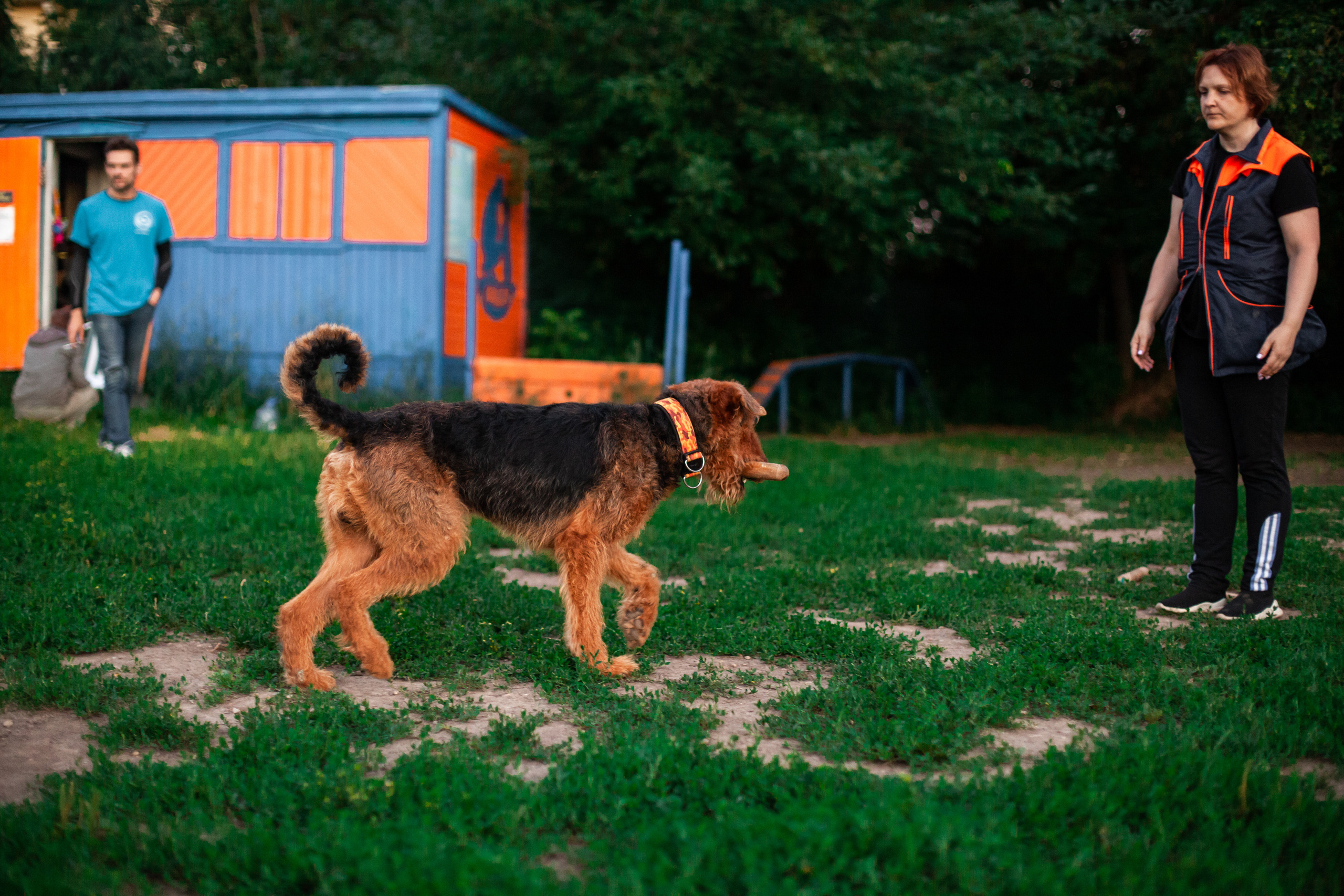 Занятие ЗКС+Выборка 2022. Фотограф-анималист Татьяна Степанова