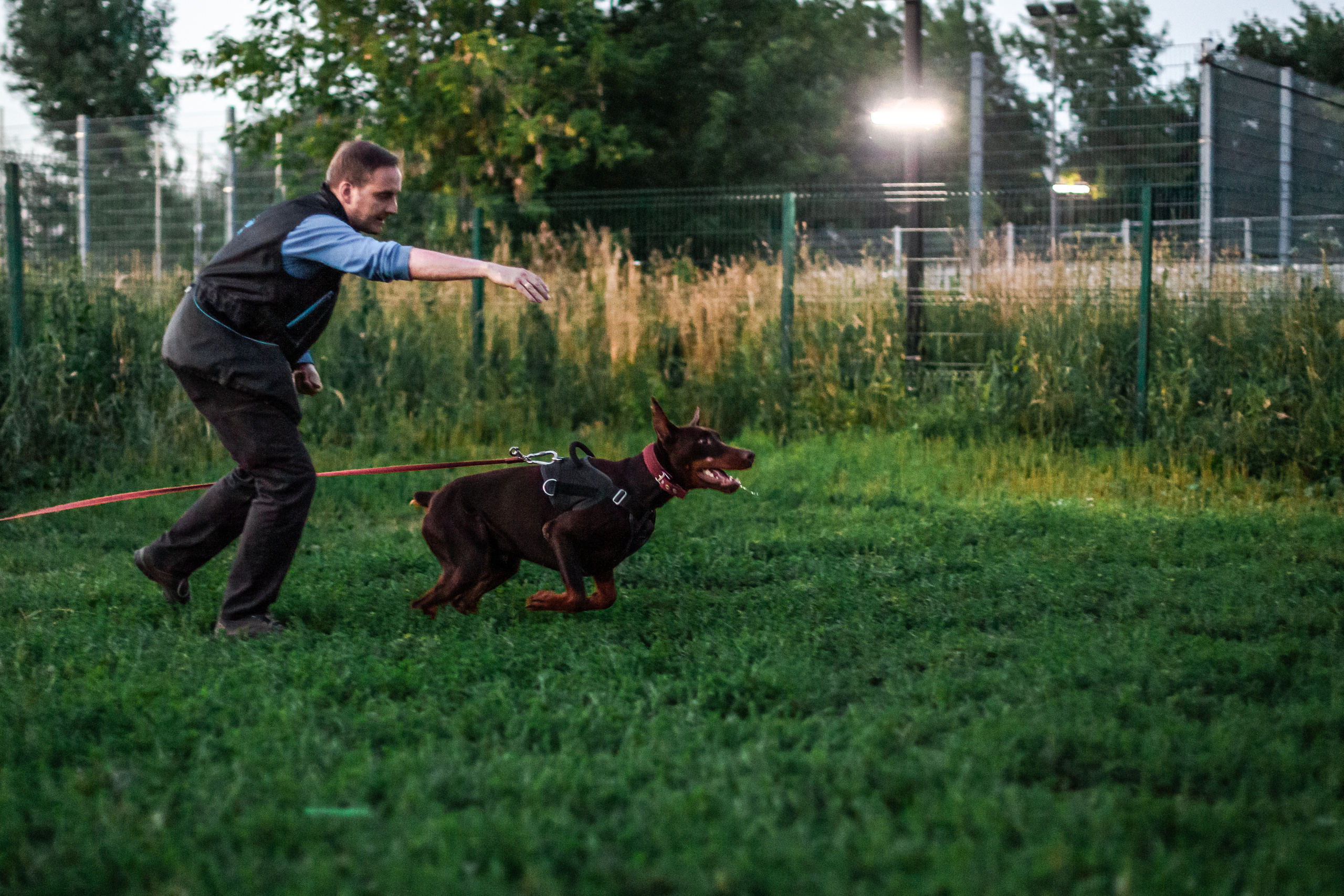 Занятие ЗКС+Выборка 2022. Фотограф-анималист Татьяна Степанова
