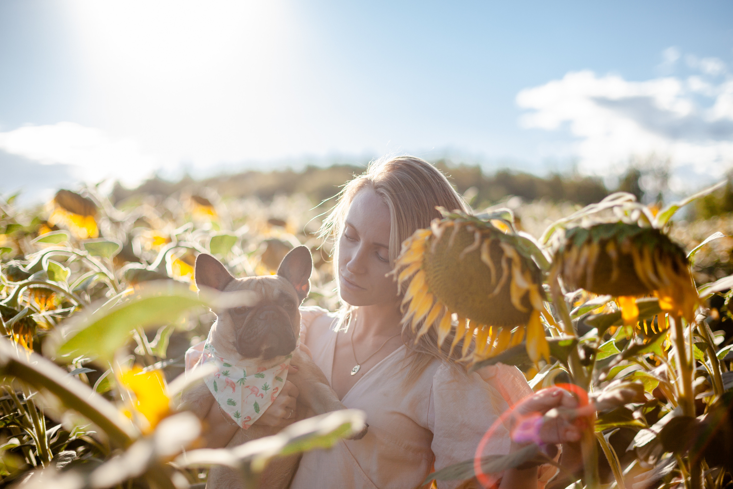 Коломна, стога и подсолнухи. Фотограф-анималист Татьяна Степанова
