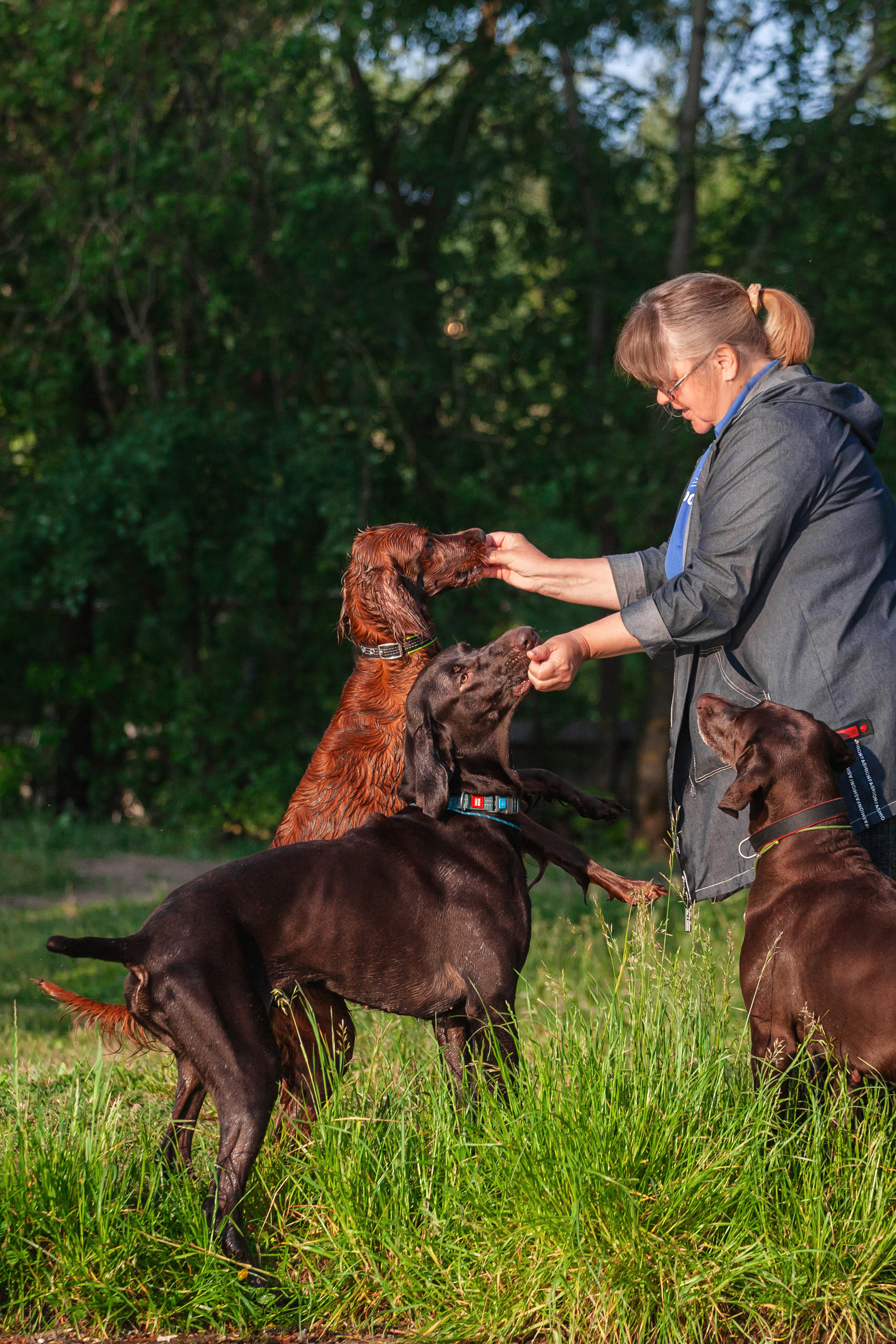 Рассветная съемка в ПКИО Северное Тушино. Фотограф-анималист Татьяна Степанова