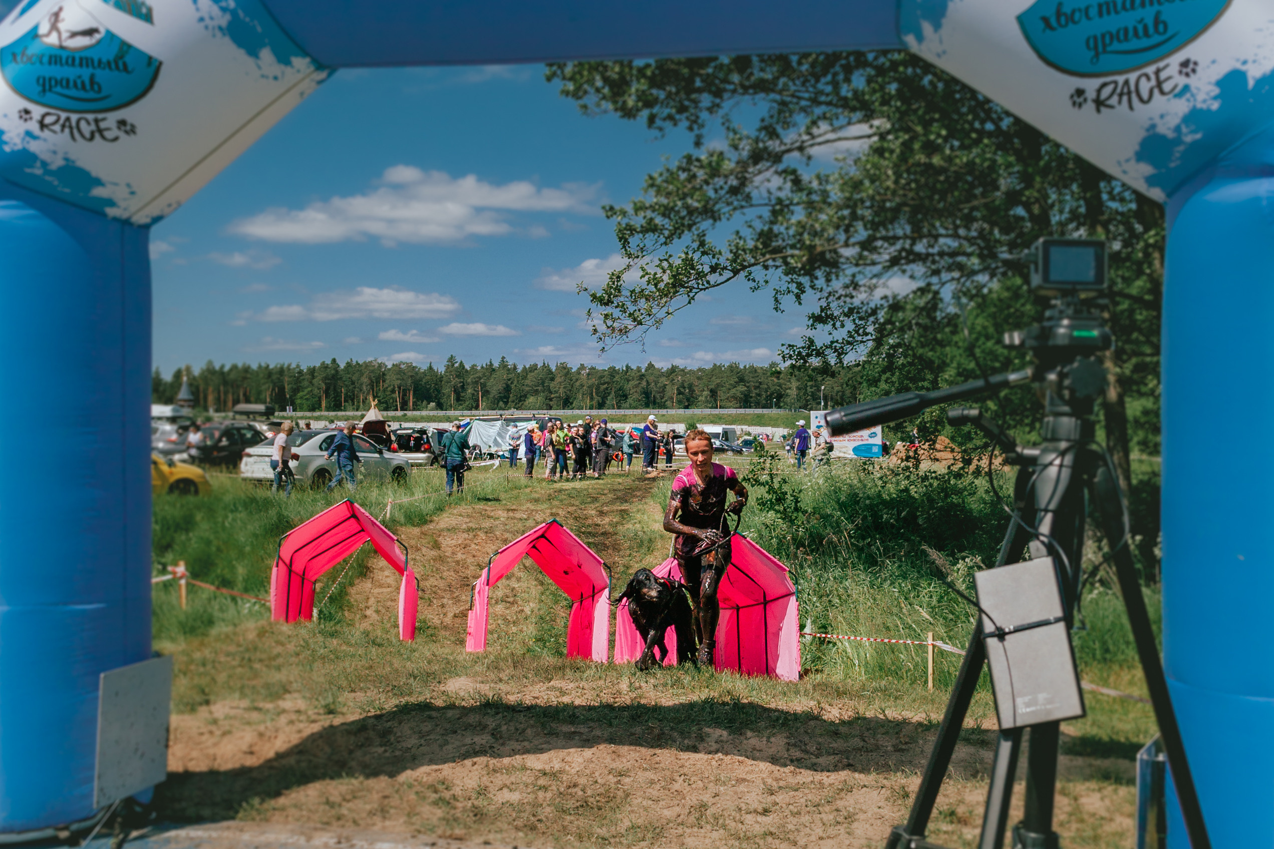 Хвостатый Драйв 11.06.2023. Фотограф-анималист Татьяна Степанова