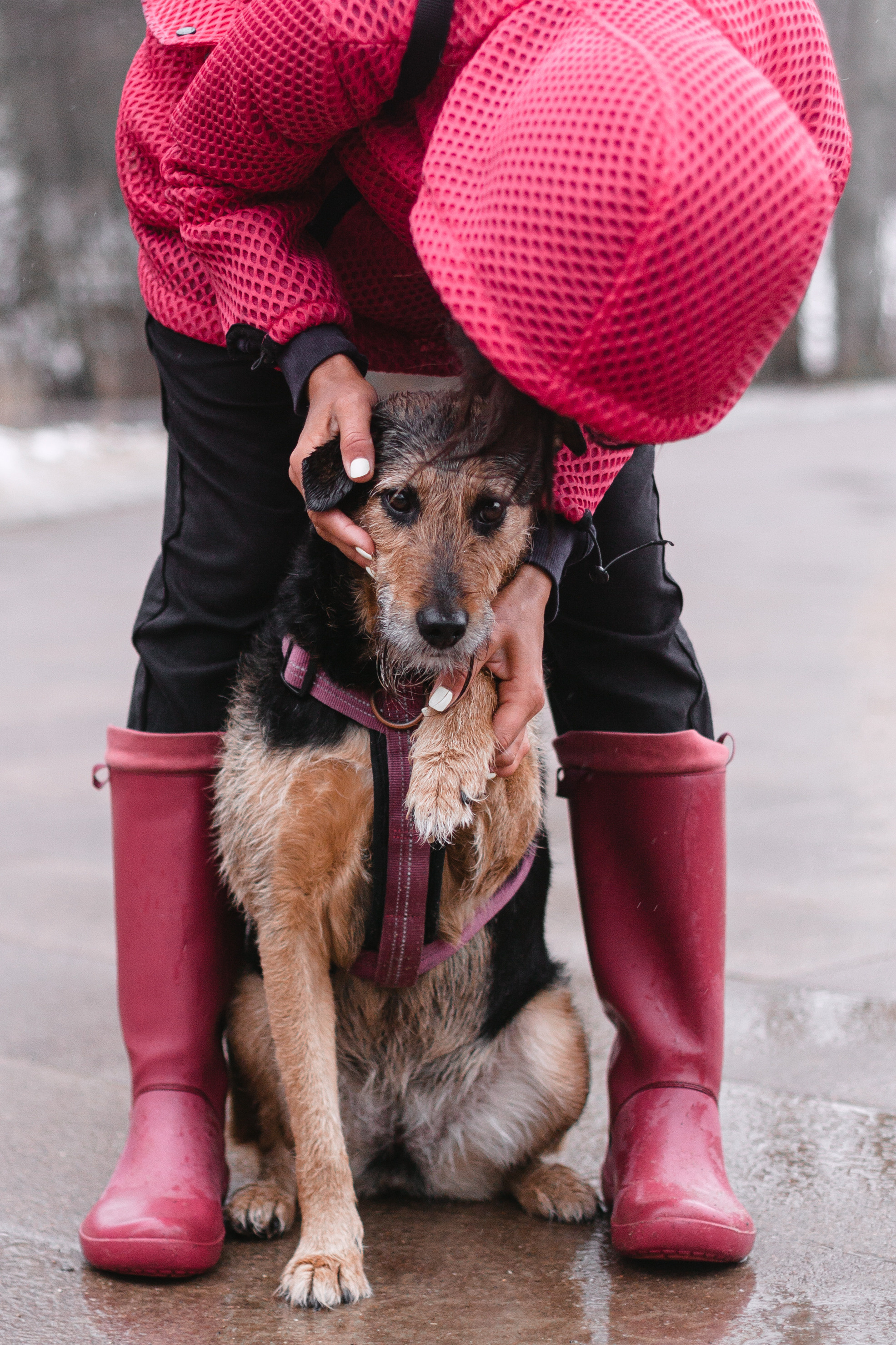 Лиза и Бренда. Фотограф-анималист Татьяна Степанова