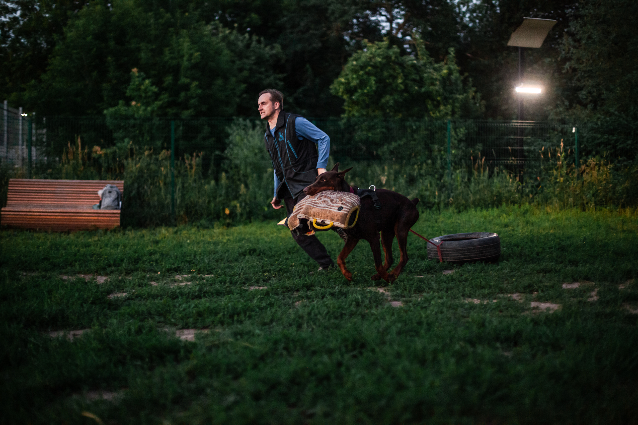 Занятие ЗКС+Выборка 2022. Фотограф-анималист Татьяна Степанова