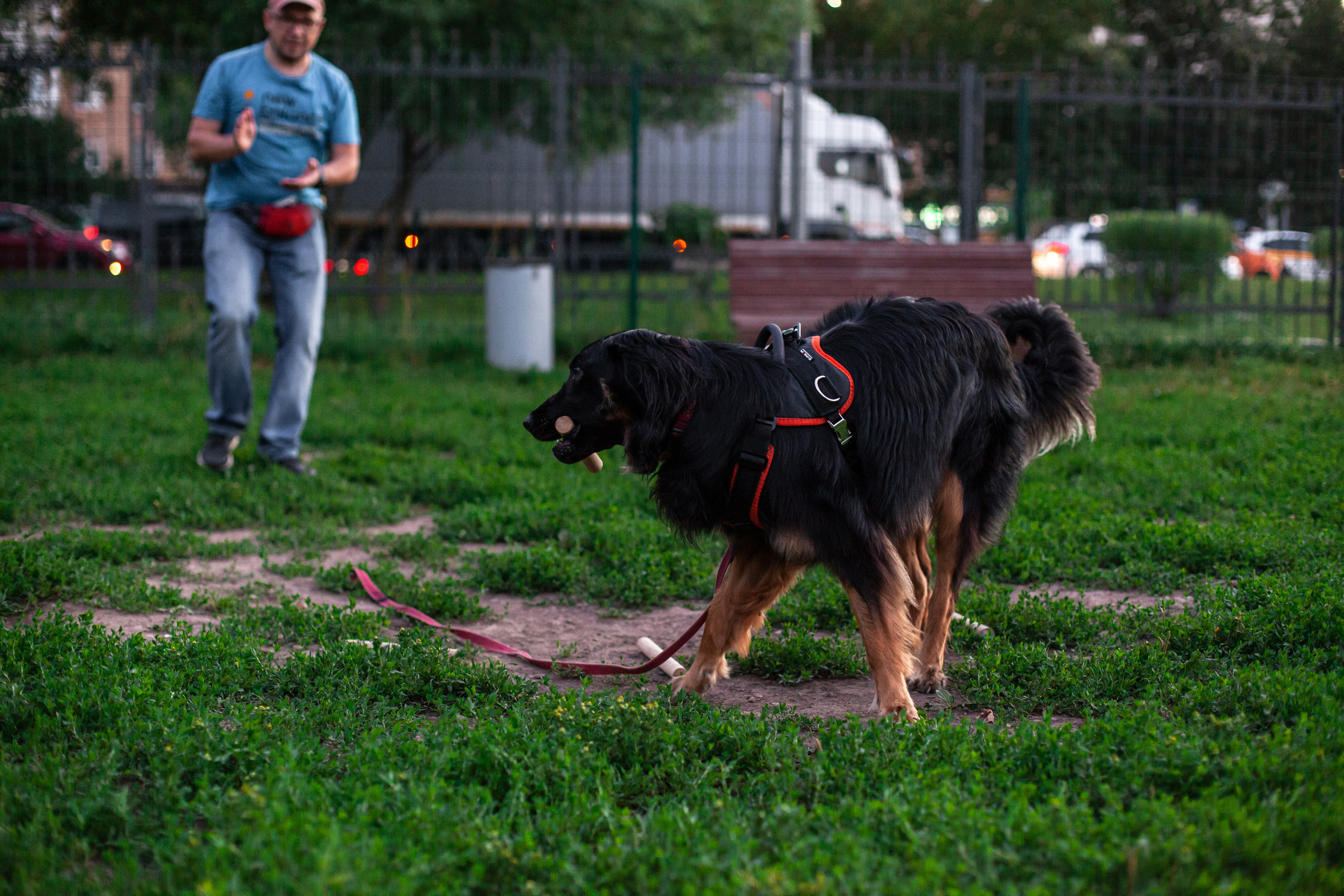 Занятие ЗКС+Выборка 2022. Фотограф-анималист Татьяна Степанова
