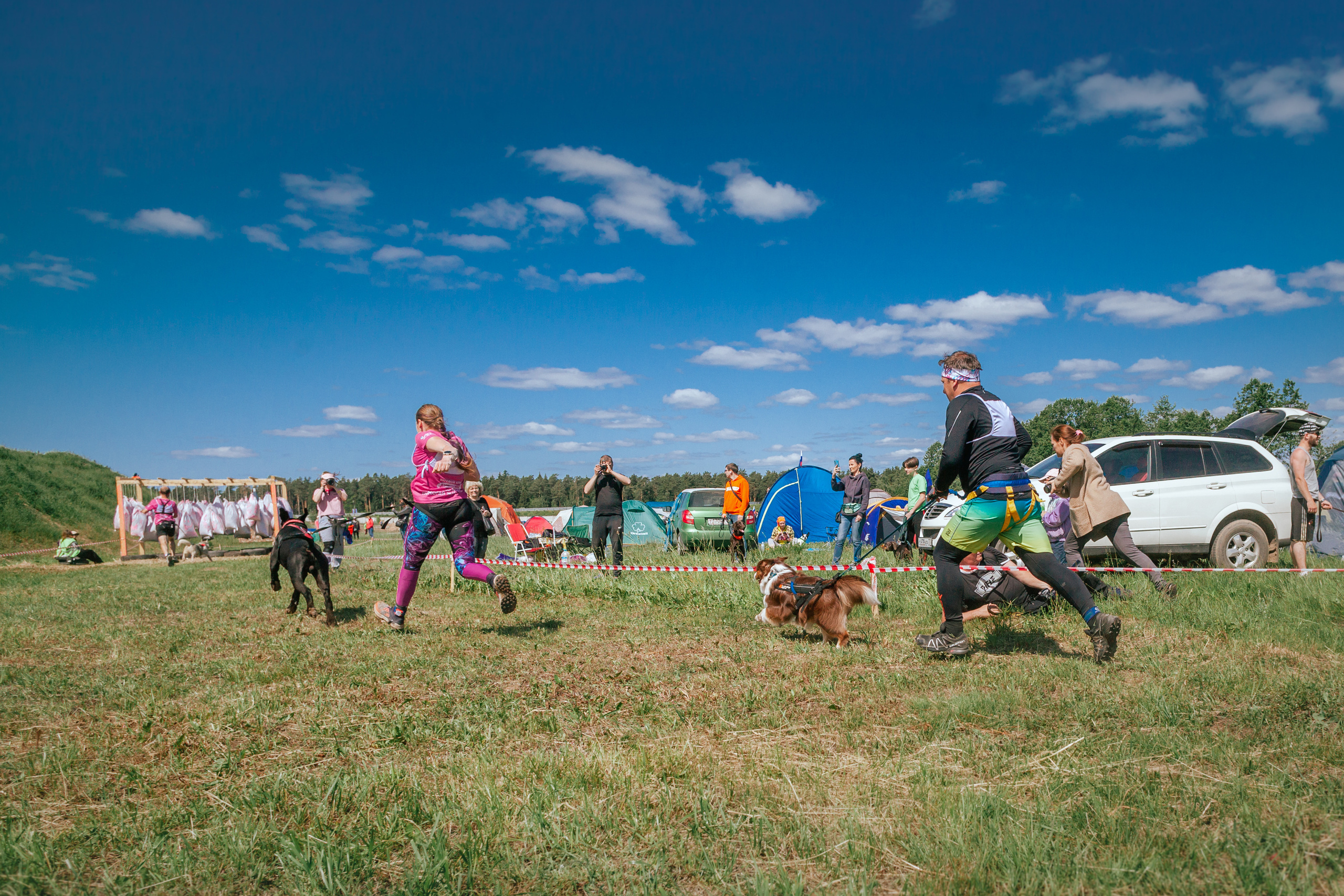 Хвостатый Драйв 11.06.2023. Фотограф-анималист Татьяна Степанова
