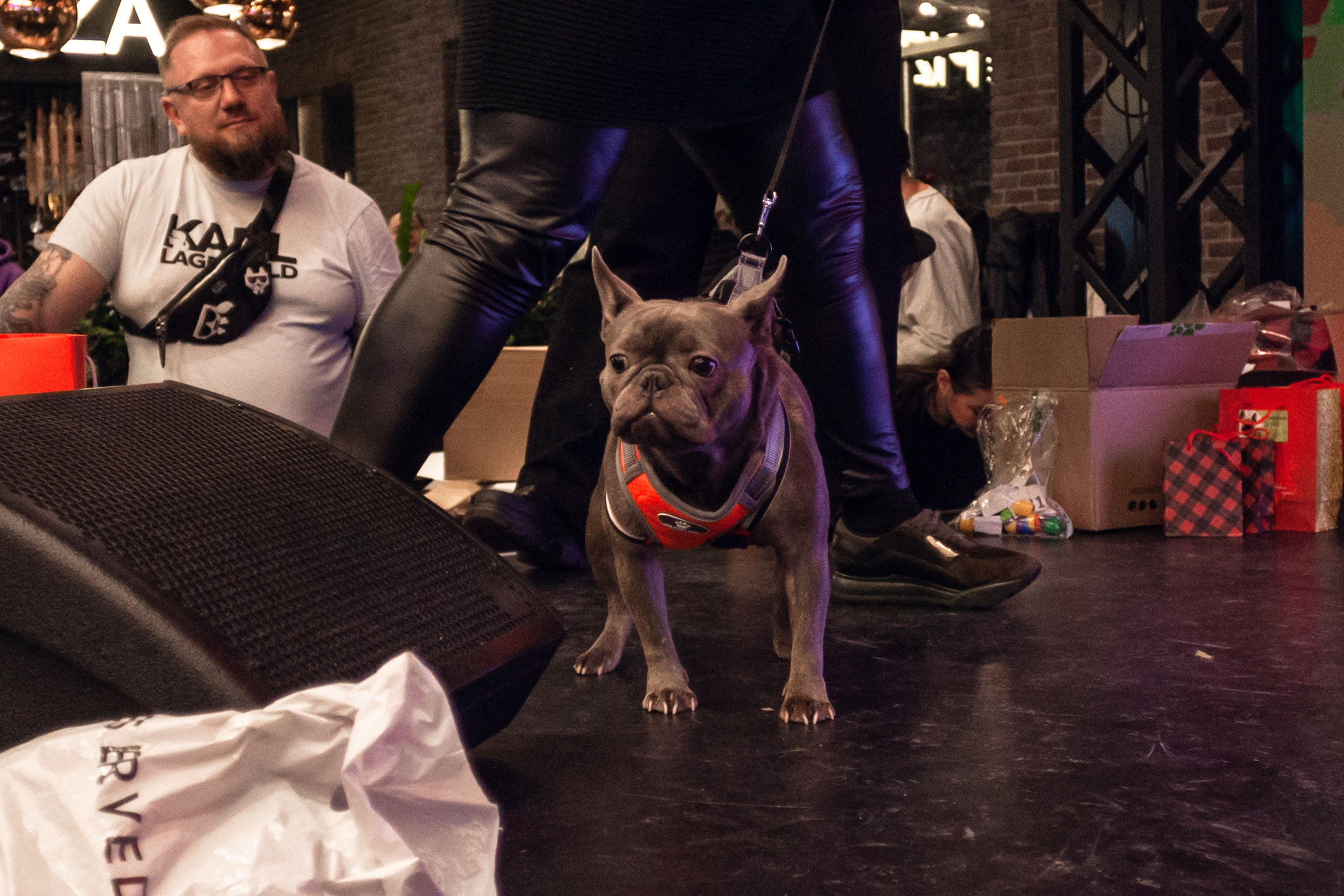 Бульелка 2022. Фотограф-анималист Татьяна Степанова