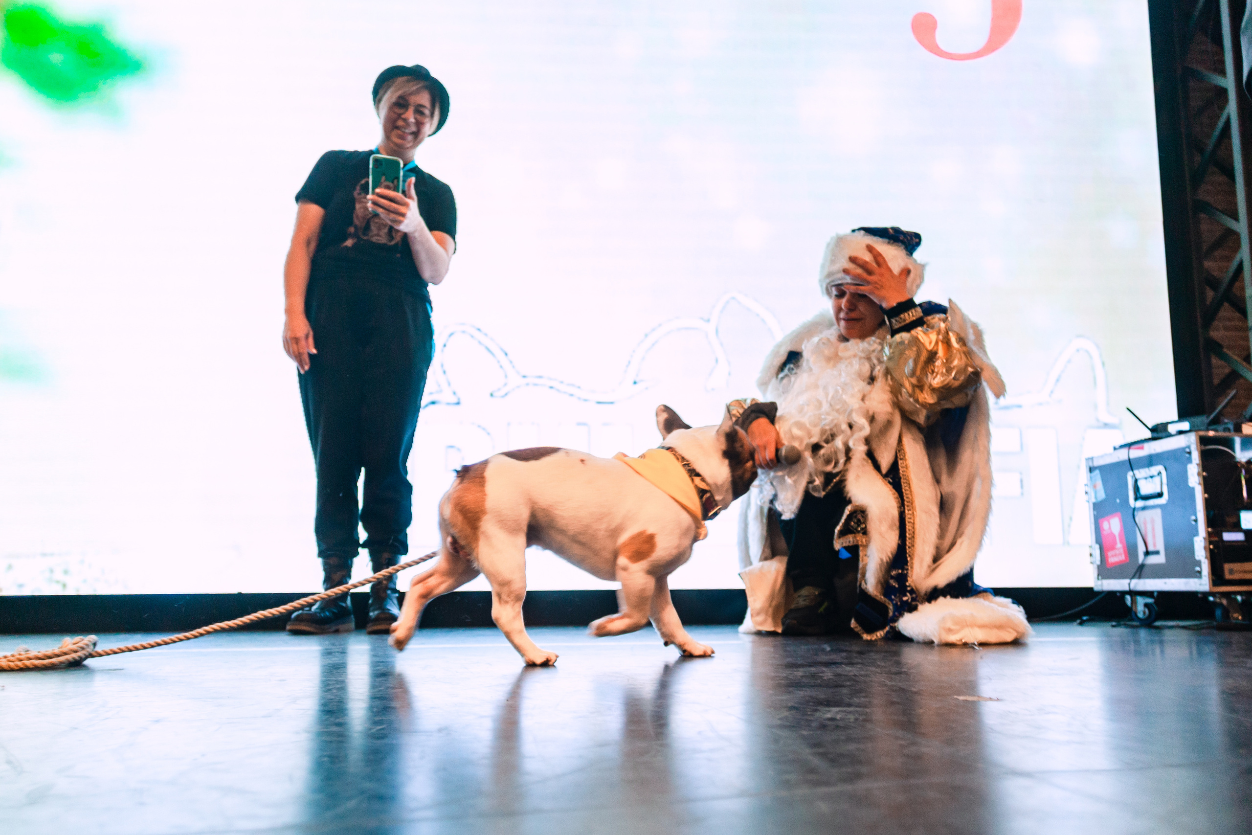 Бульелка 2022. Фотограф-анималист Татьяна Степанова