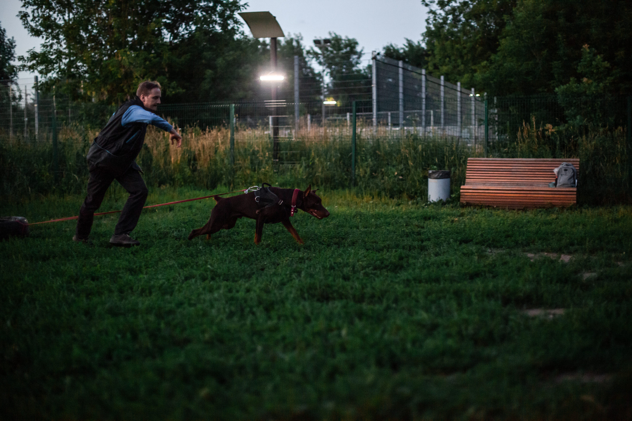 Занятие ЗКС+Выборка 2022. Фотограф-анималист Татьяна Степанова