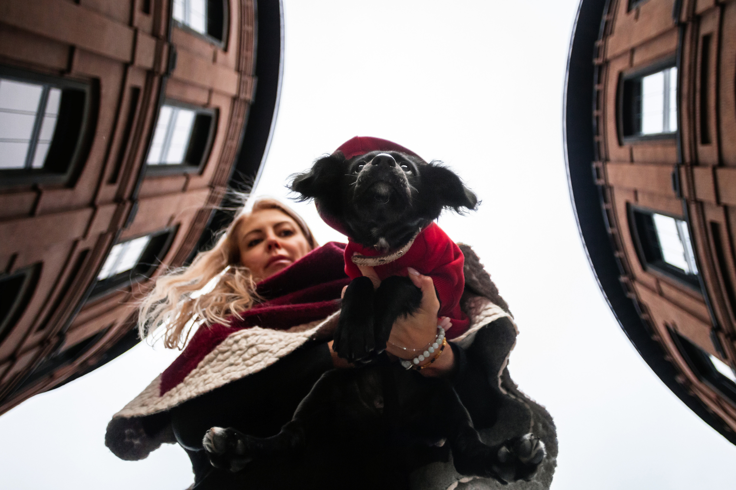 Пара щенков 2022. Фотограф-анималист Татьяна Степанова